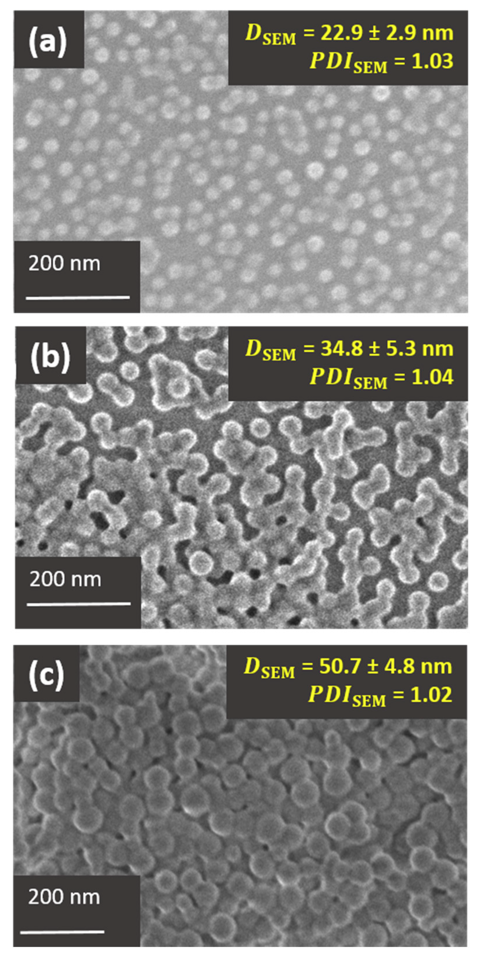 Polymers 12 01656 g006