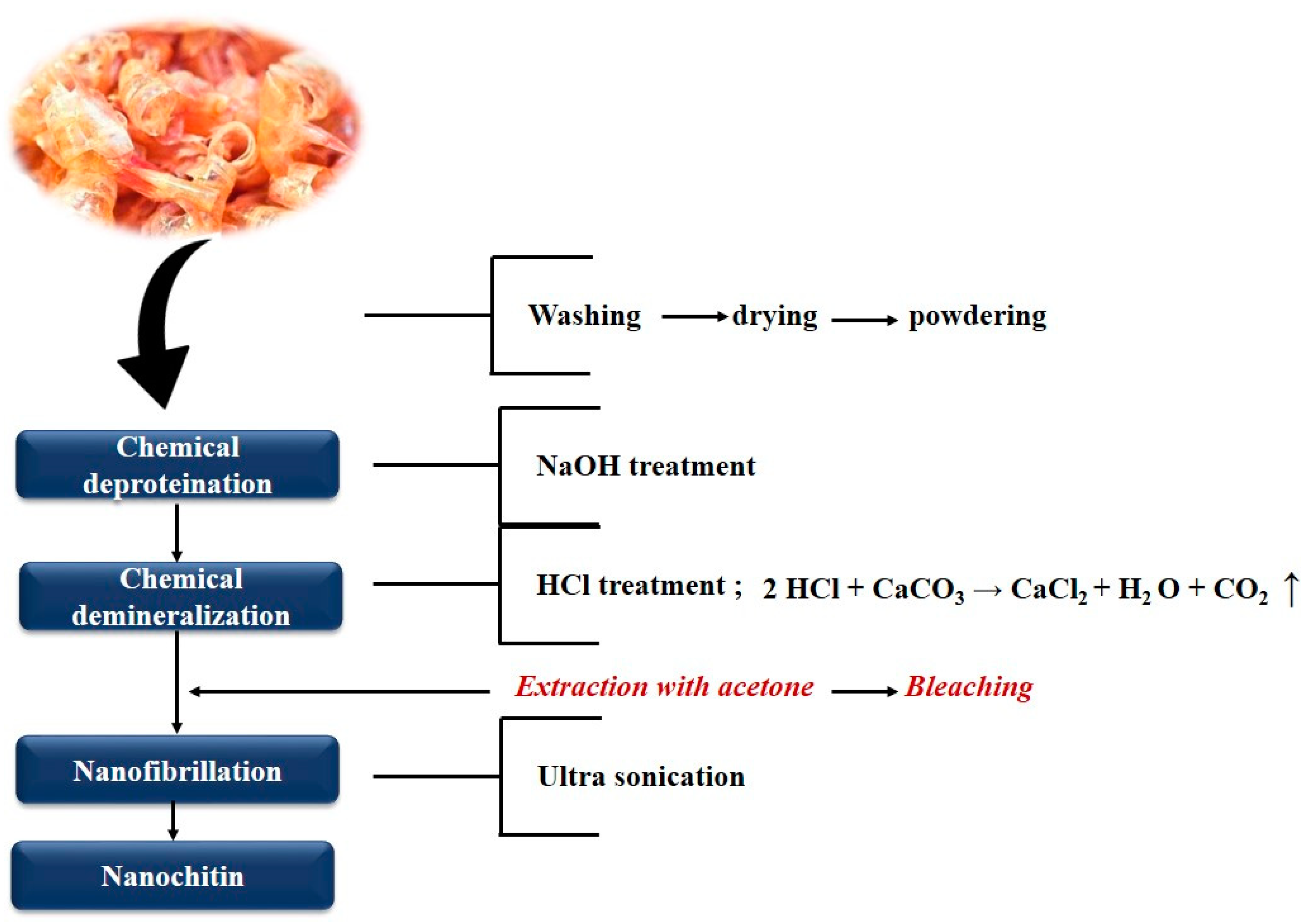 Polymers 12 01664 g003