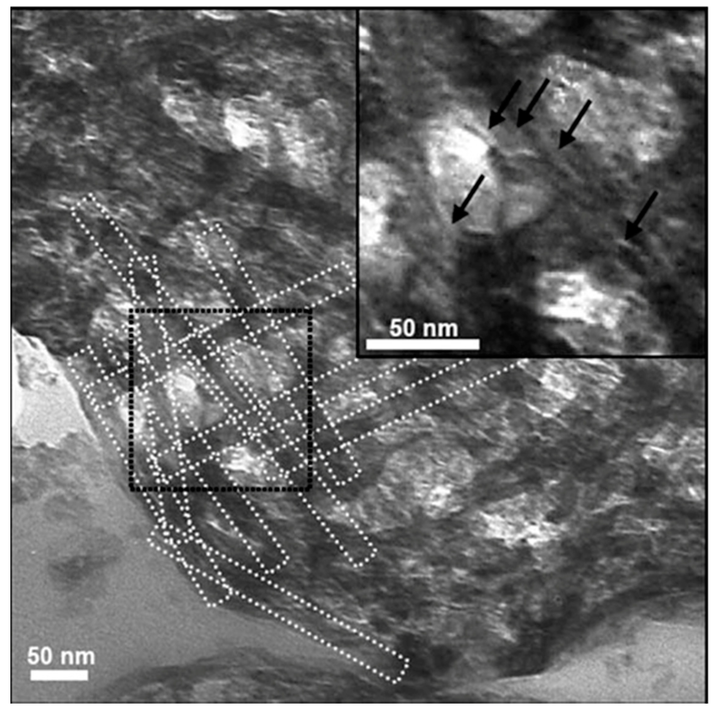 Polymers 12 01664 g009
