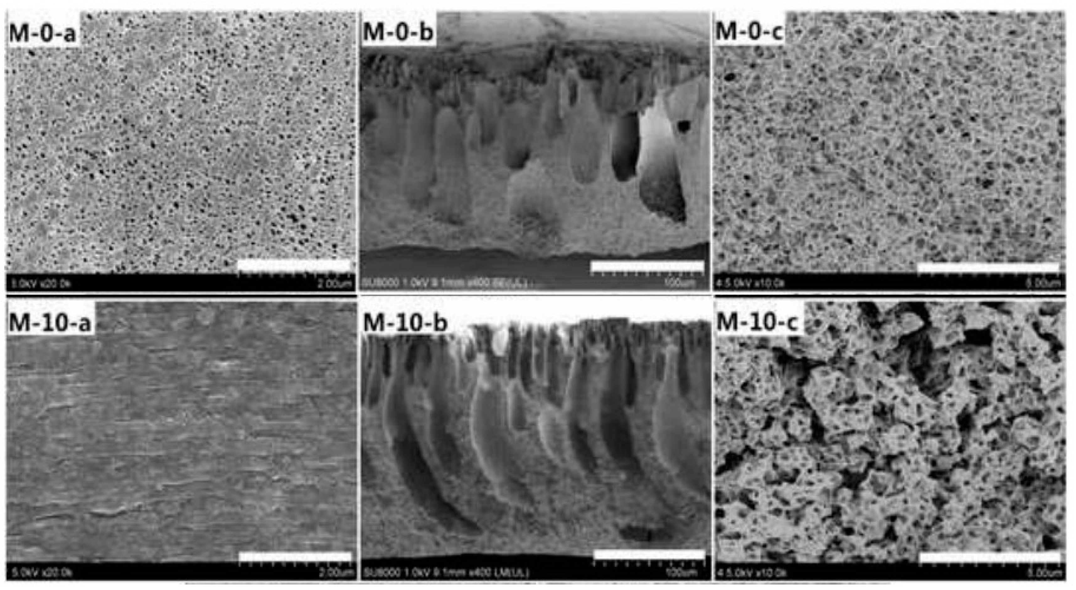 Polymers 12 01664 g010