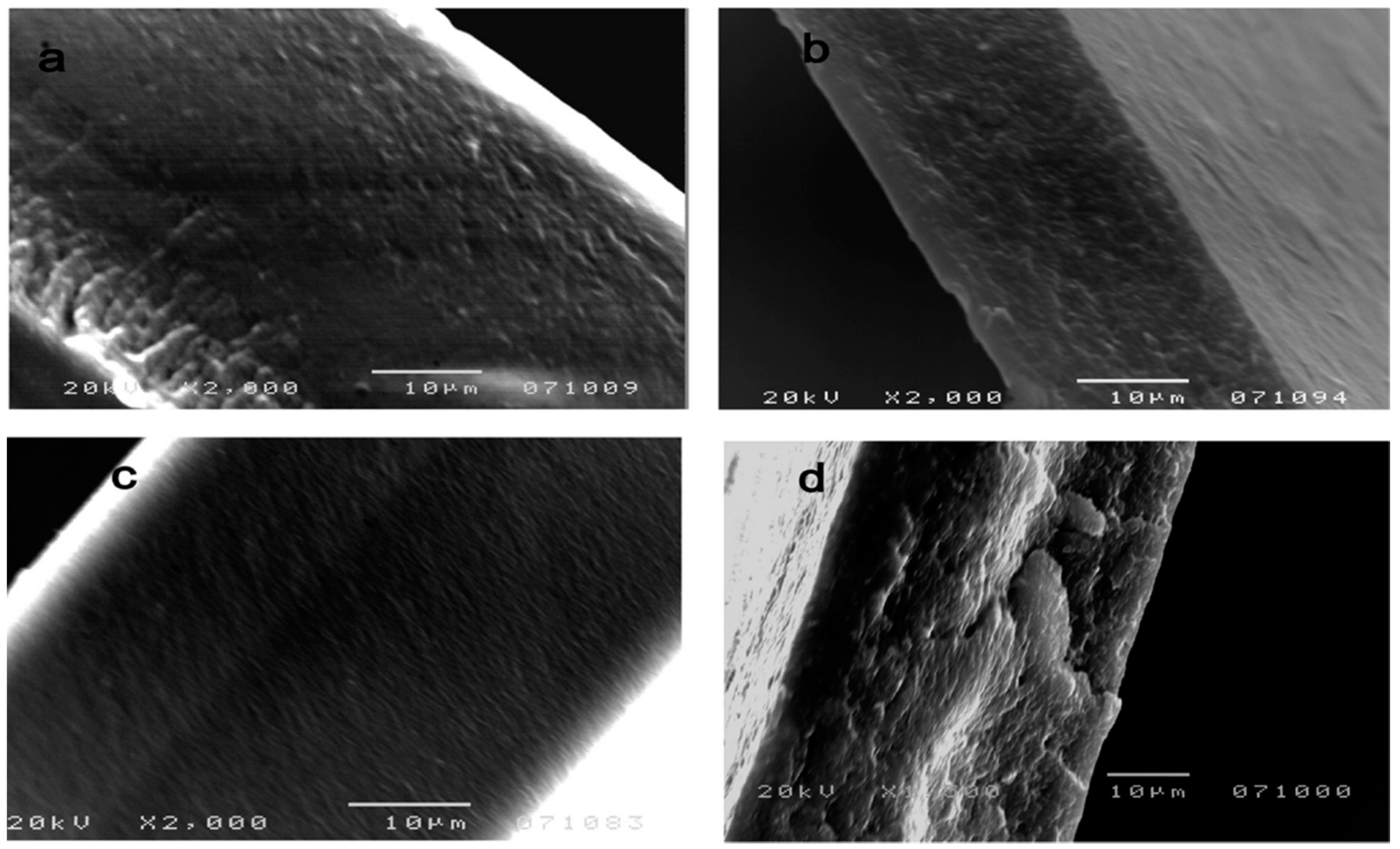 Polymers 12 01664 g011
