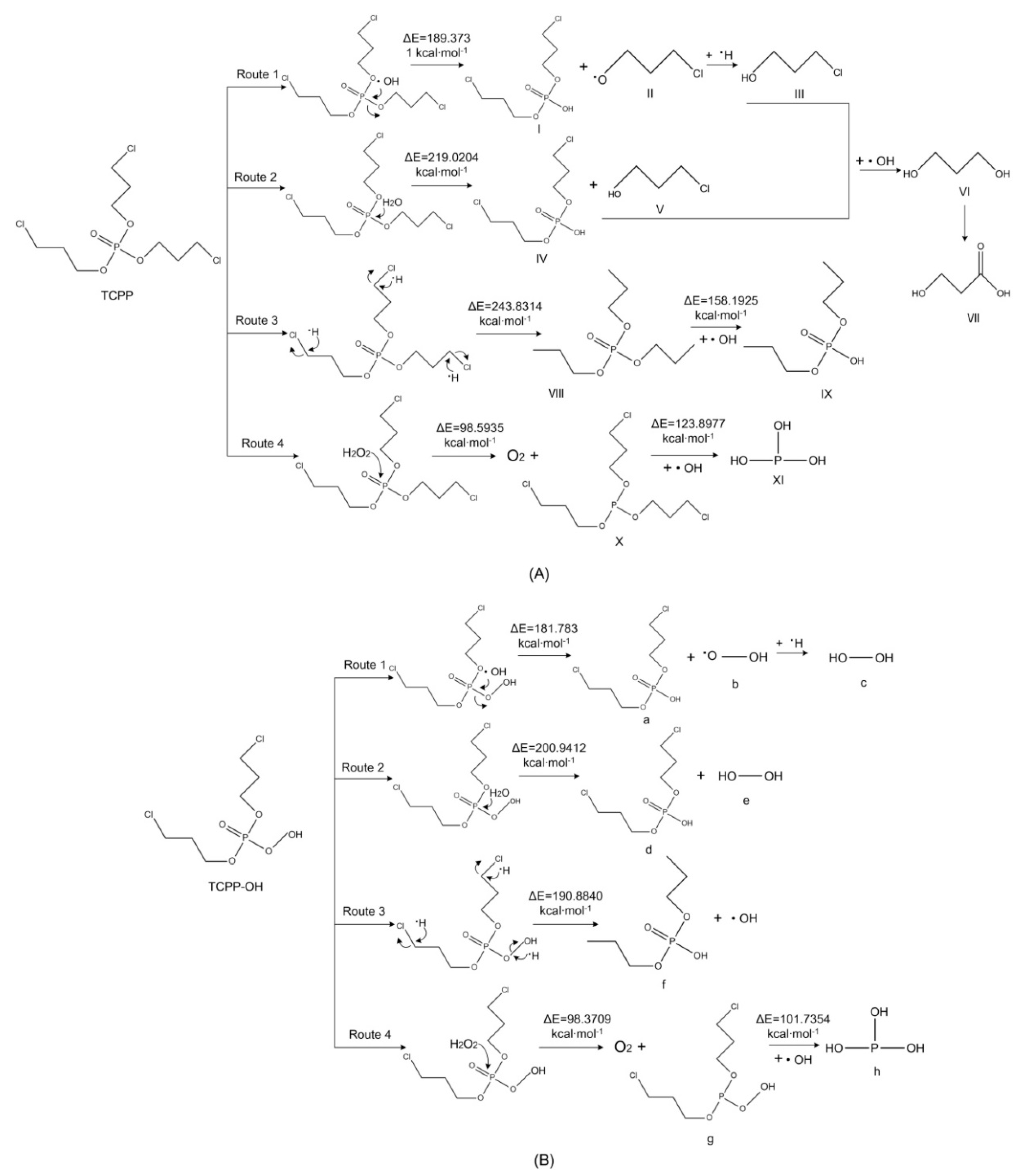 Polymers 12 01672 g004