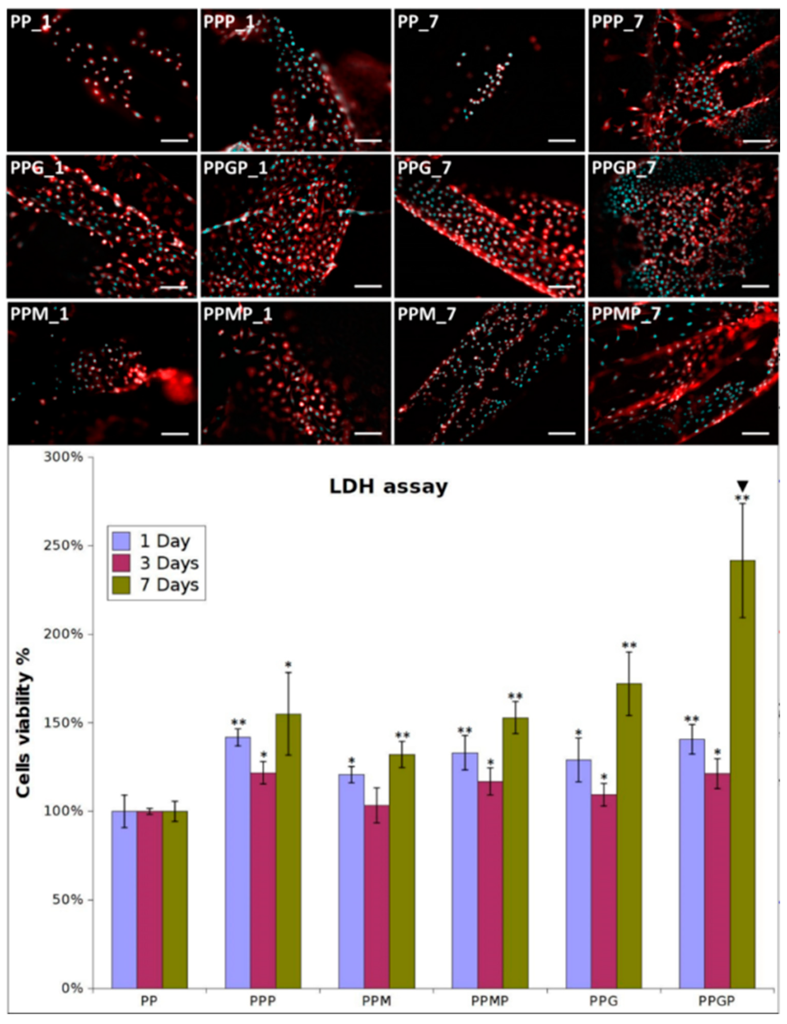 Polymers 12 01677 g003