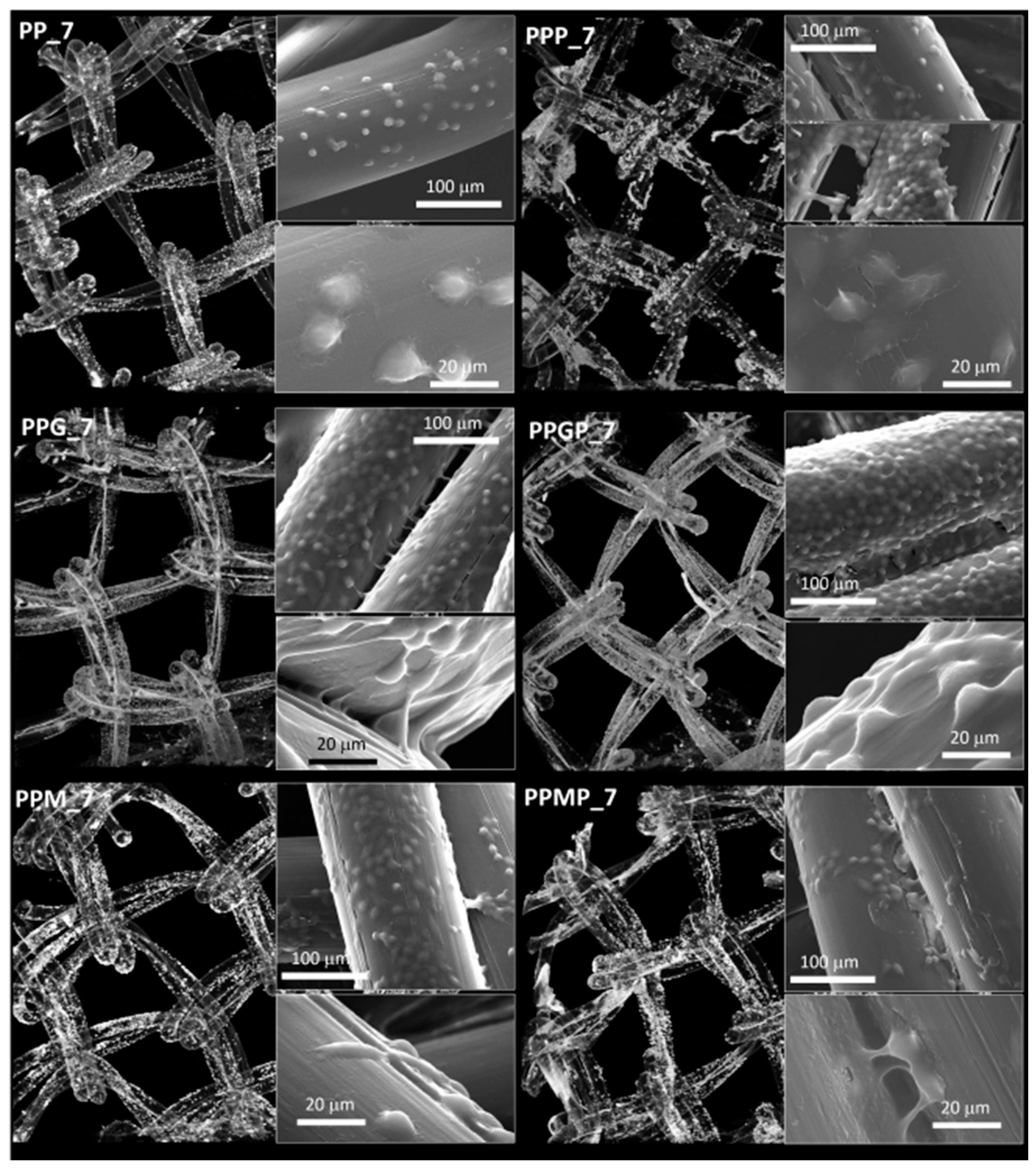 Polymers 12 01677 g005