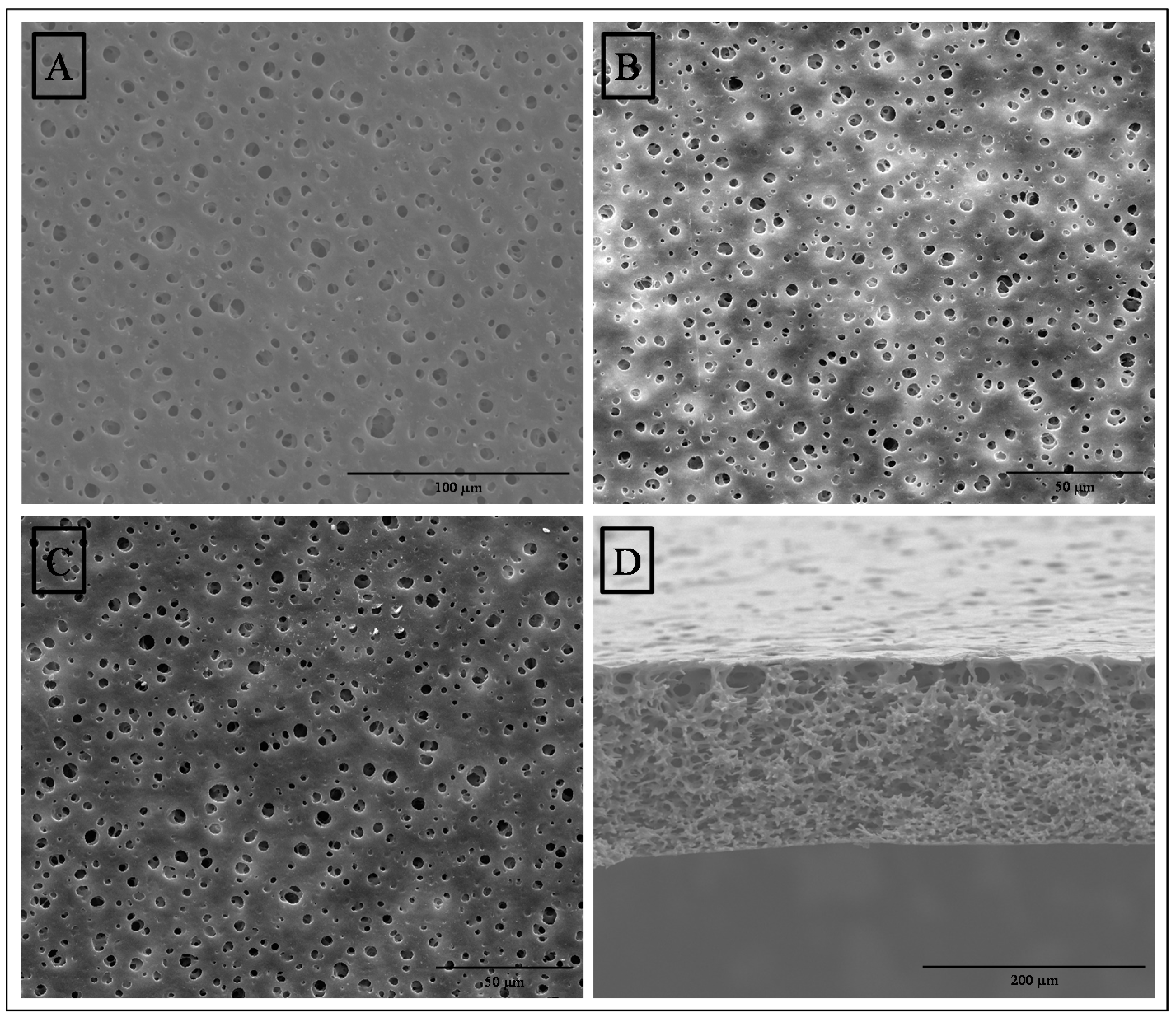 Polymers 12 01686 g002
