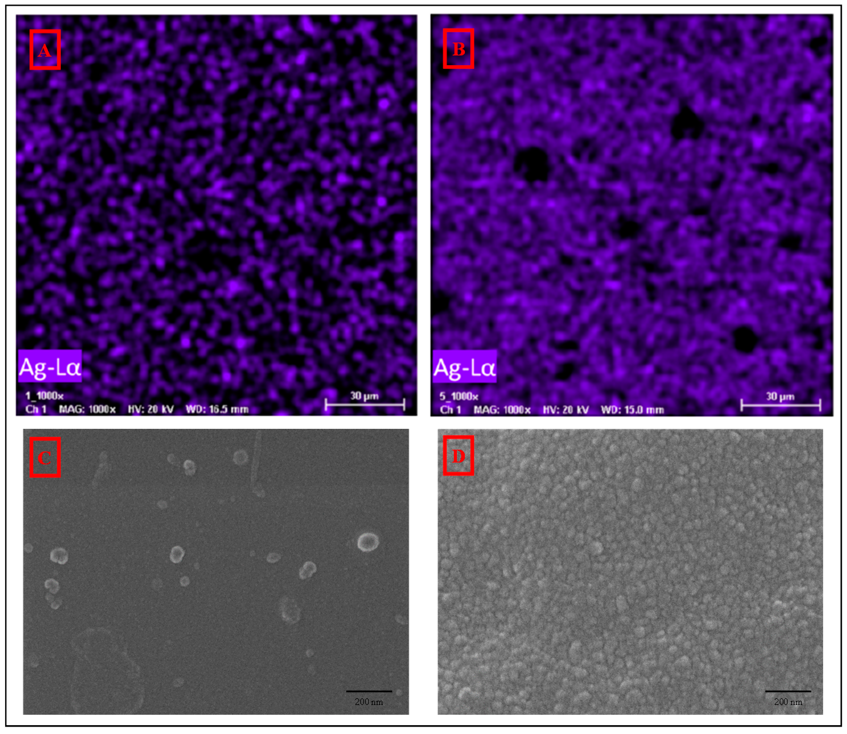 Polymers 12 01686 g004
