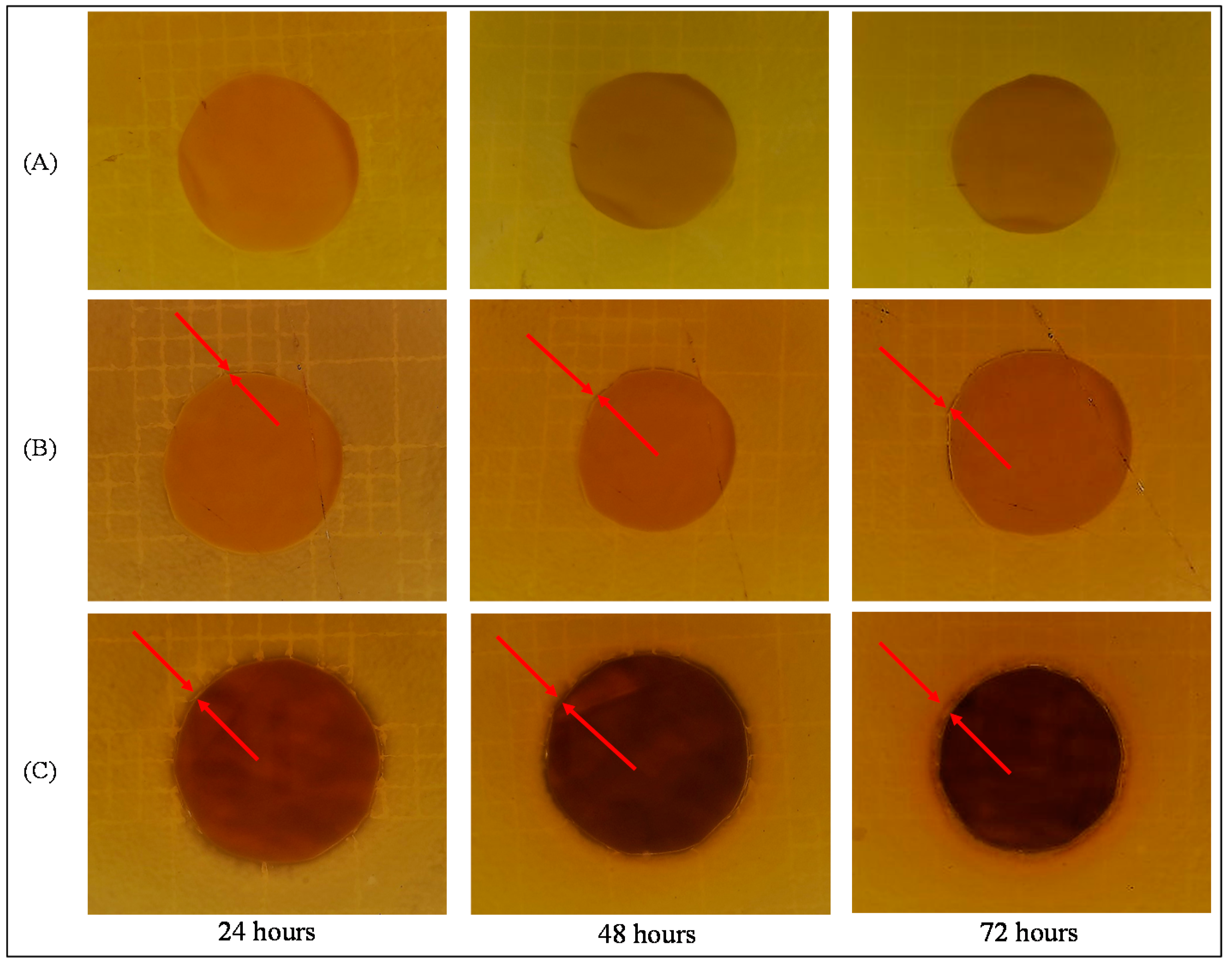 Polymers 12 01686 g007