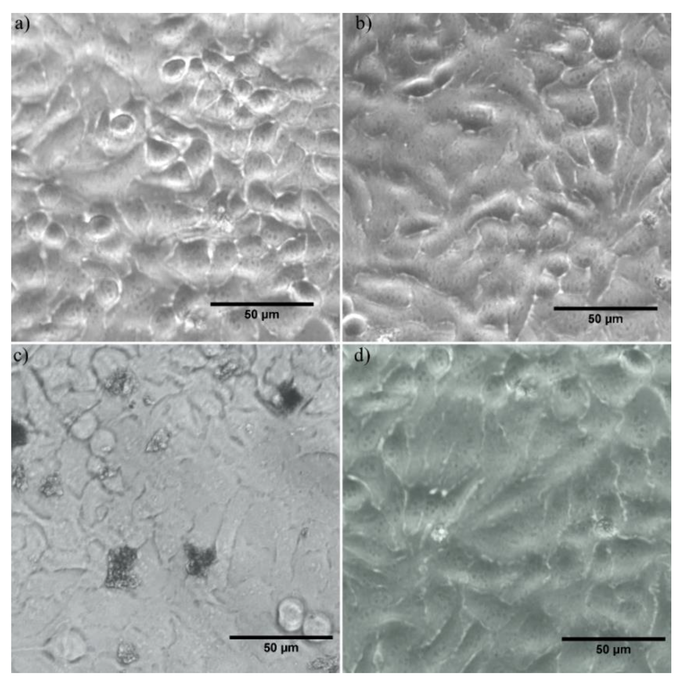 Polymers 12 01687 g008