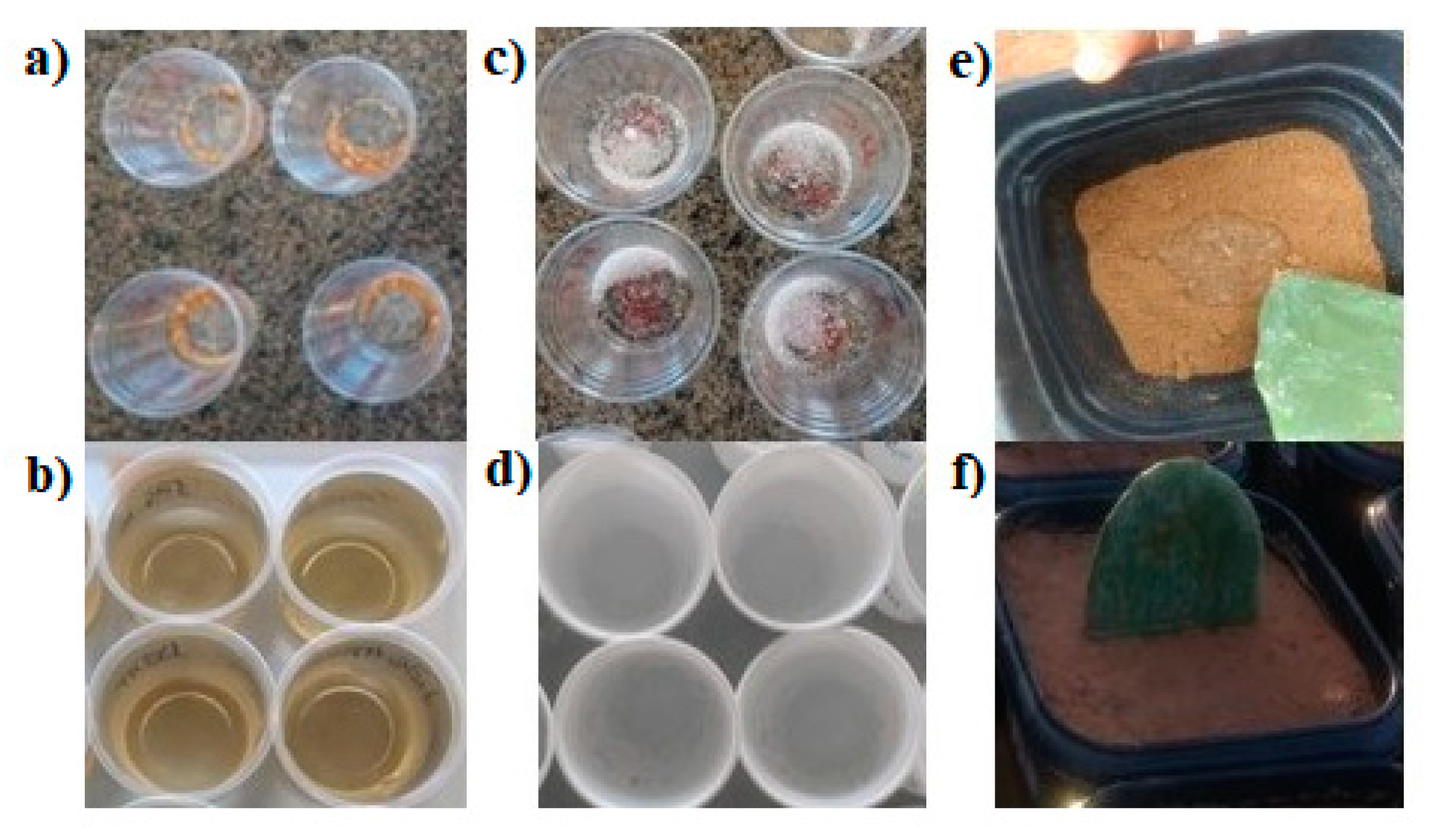 Polymers 12 01699 g001 Polymers 12 01699 g001