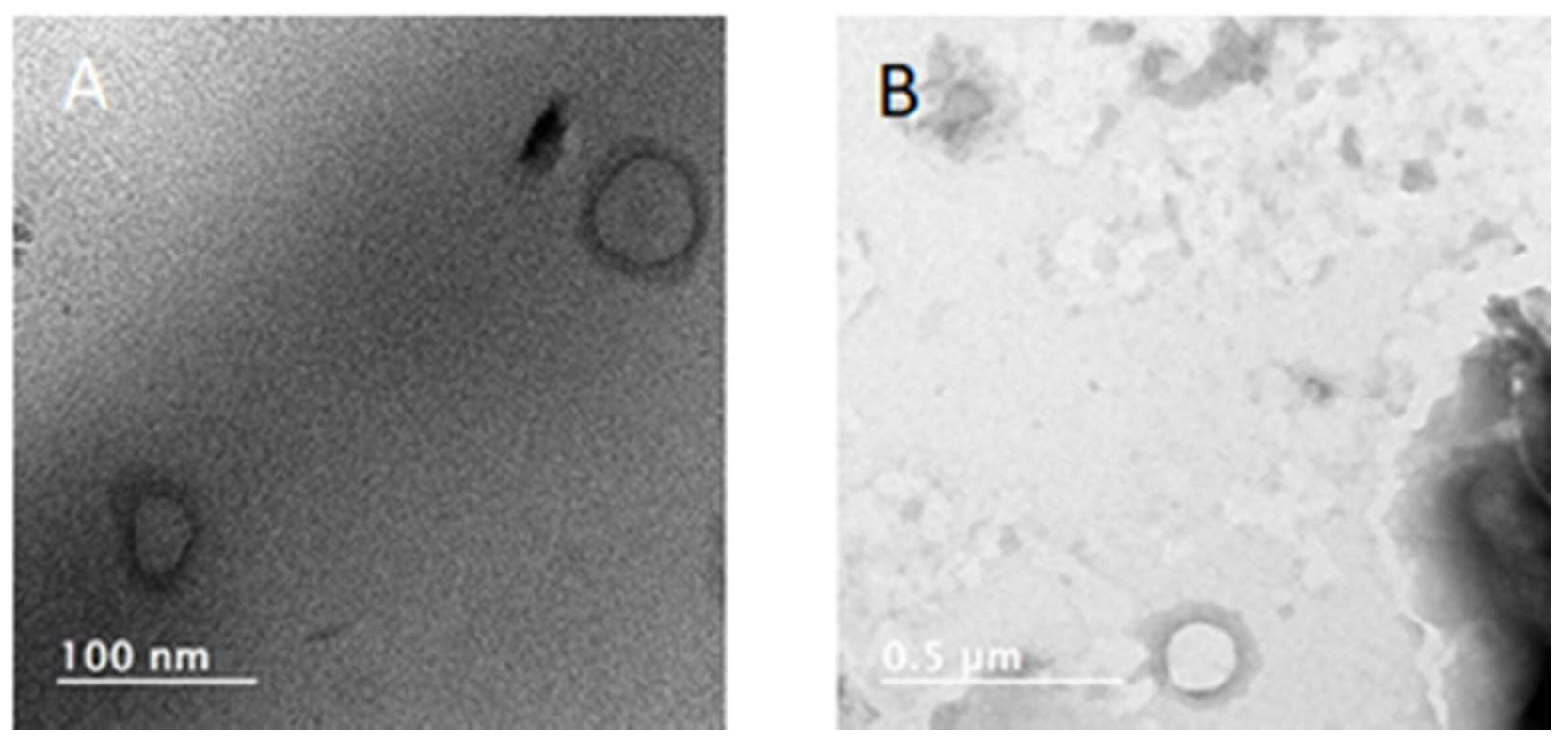 Polymers 12 01705 g002