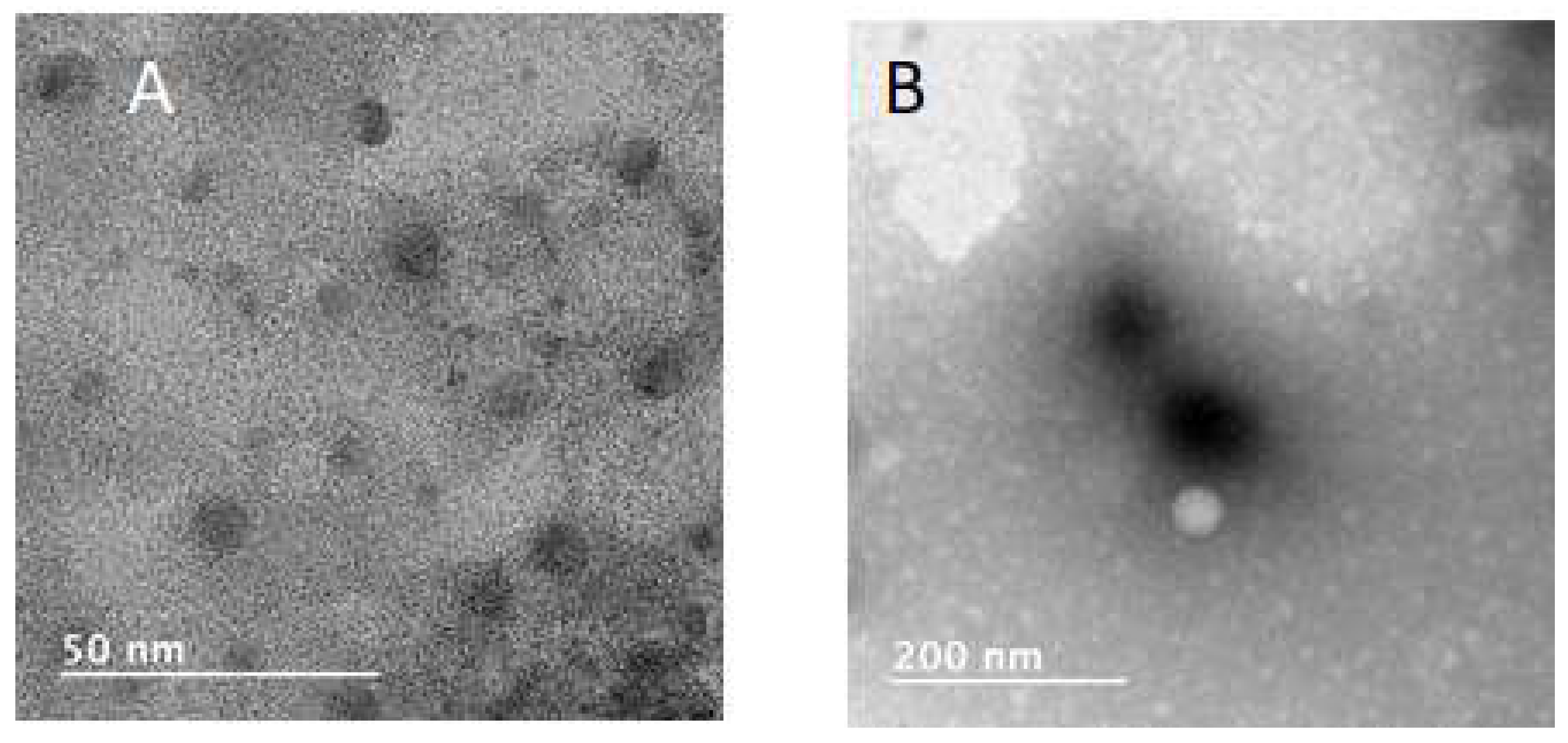 Polymers 12 01705 g004