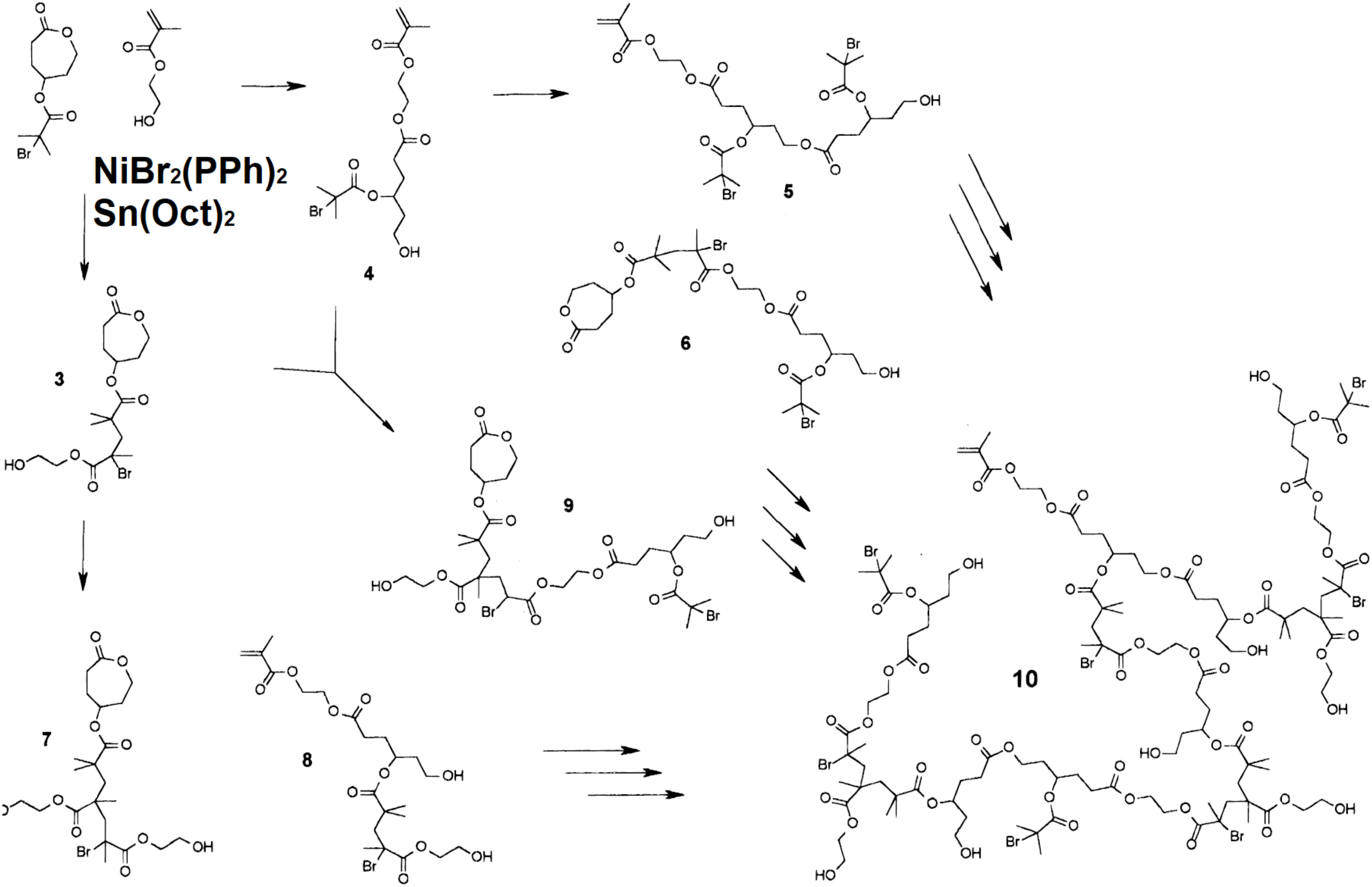 Polymers 12 01706 g003