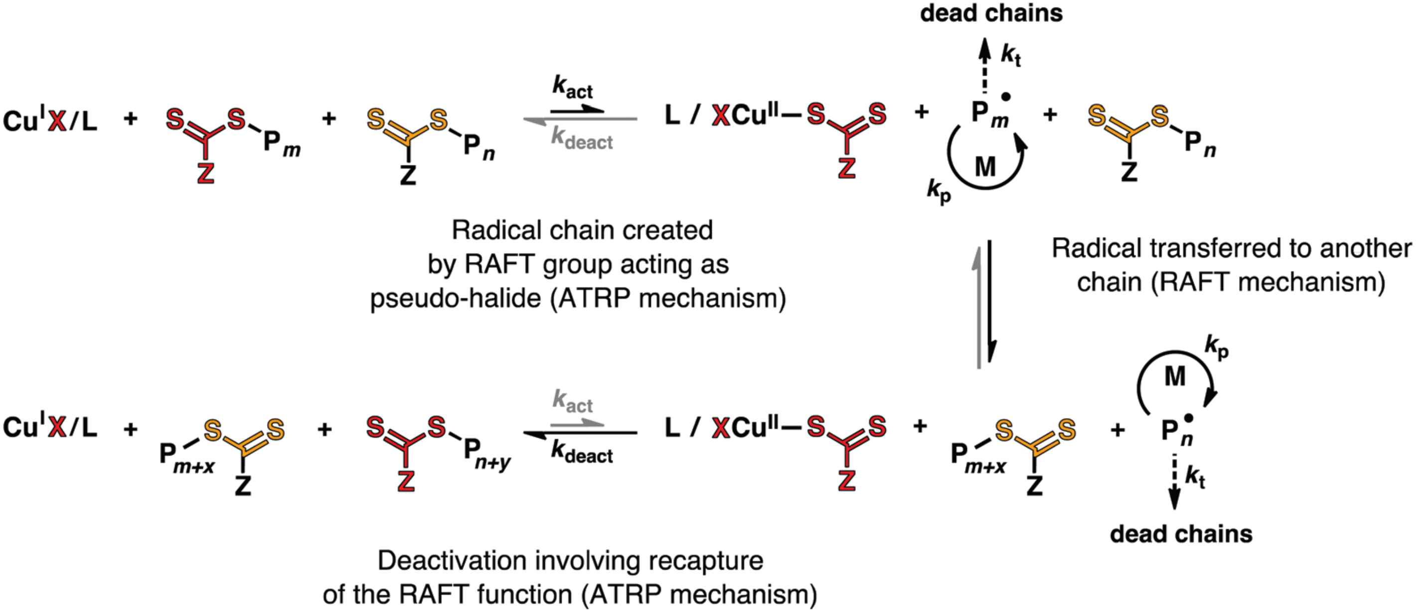 Polymers 12 01706 g005