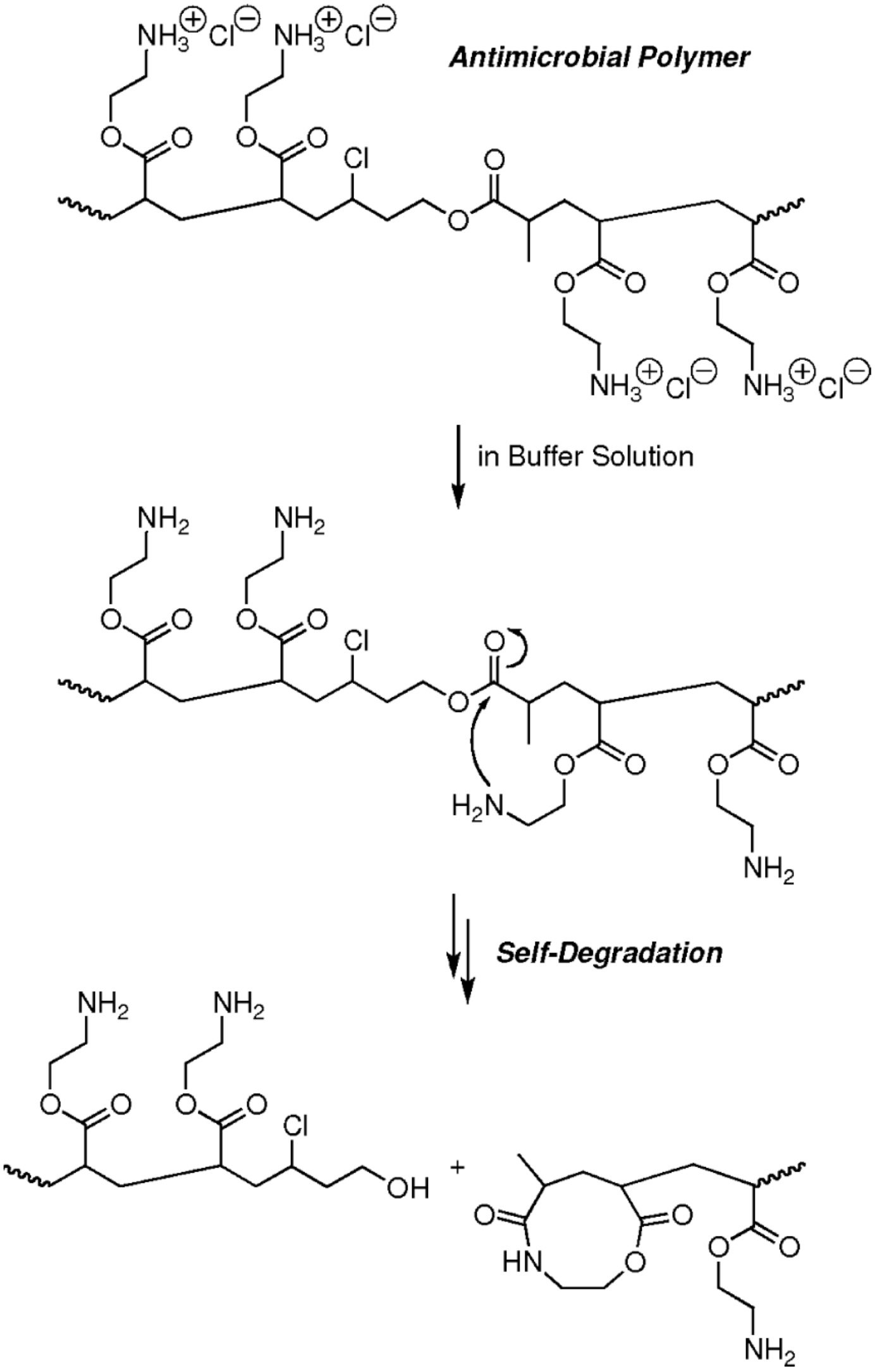 Polymers 12 01706 g008