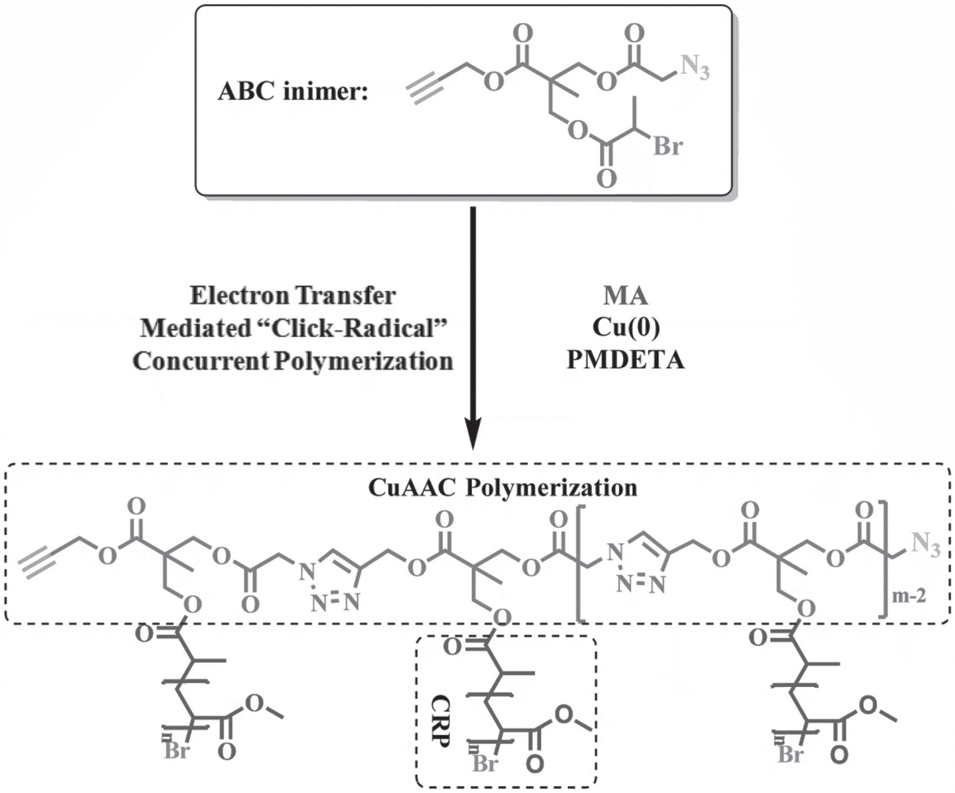 Polymers 12 01706 g009