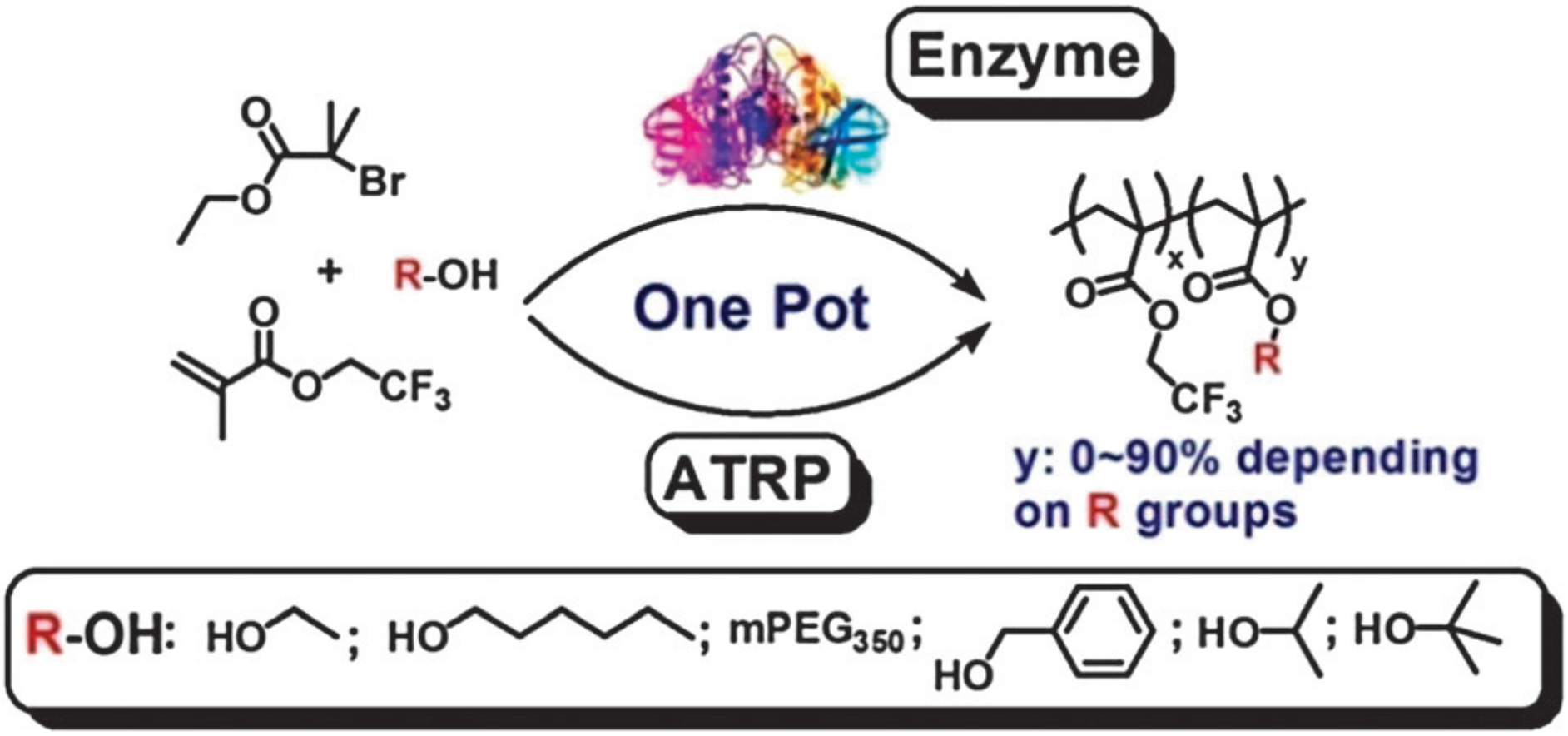 Polymers 12 01706 g014
