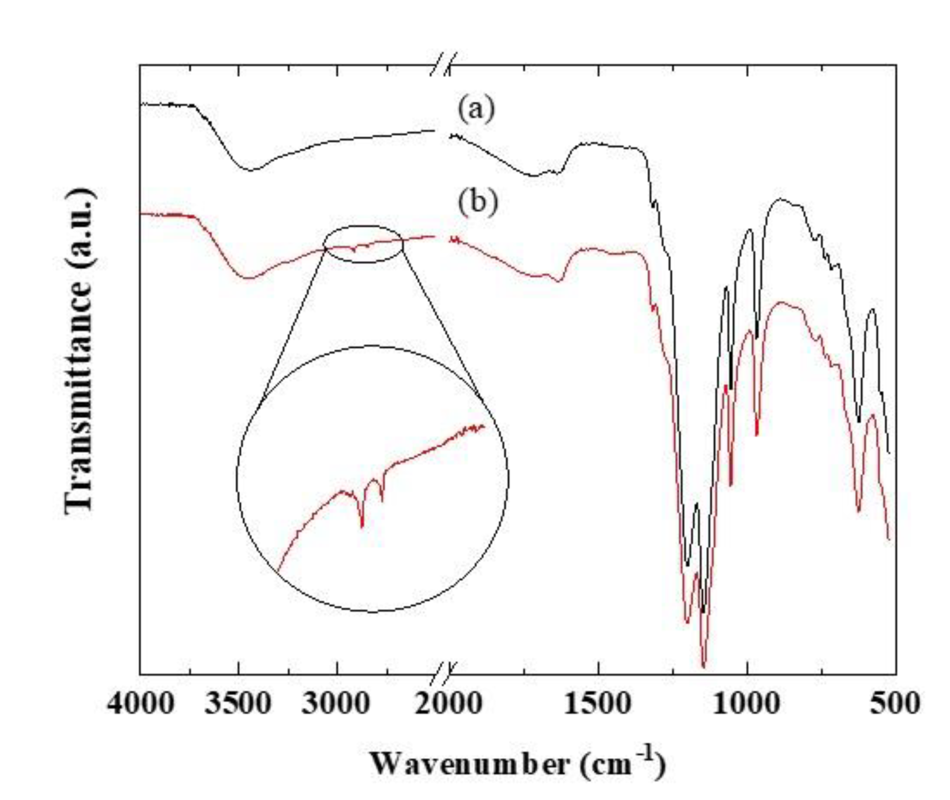 Polymers 12 01730 g002 Polymers 12 01730 g002