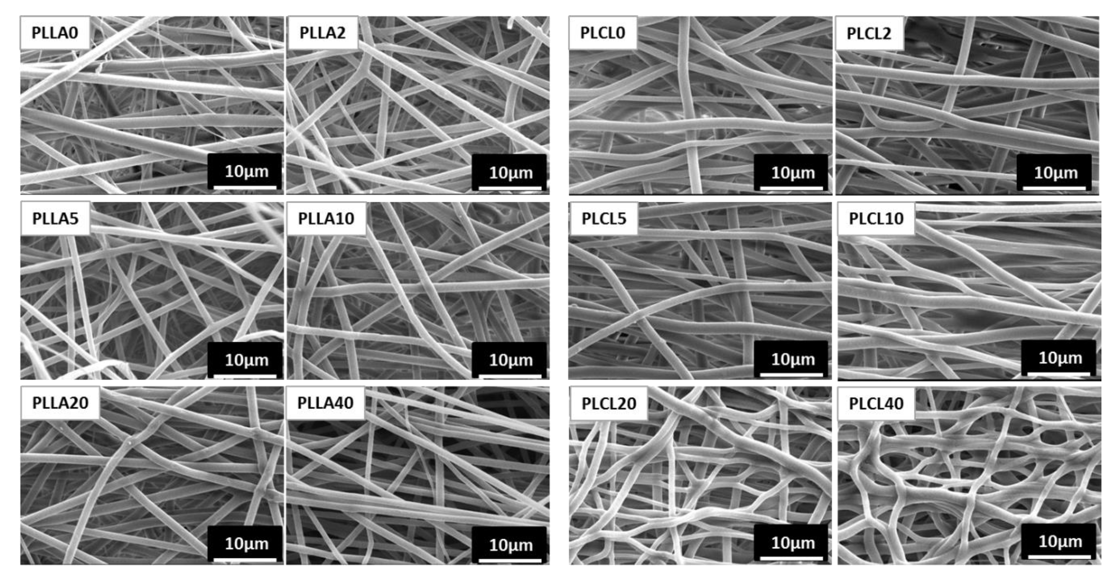 Polymers 12 01731 g004