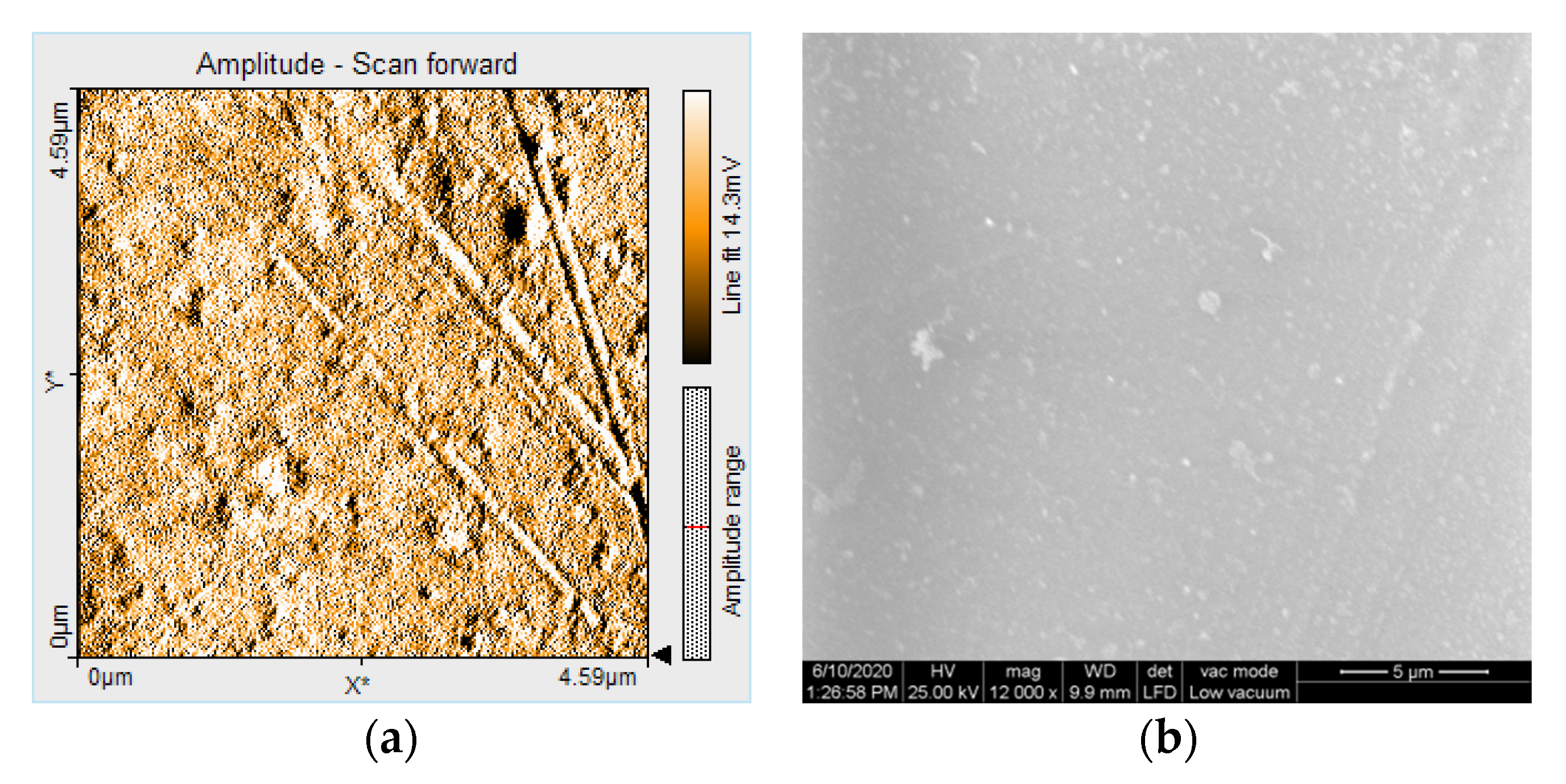 Polymers 12 01736 g018 Polymers 12 01736 g018