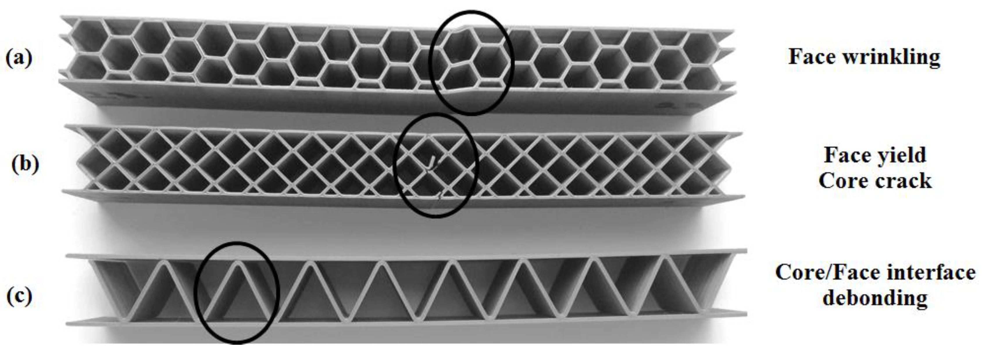 Polymers 12 01740 g010