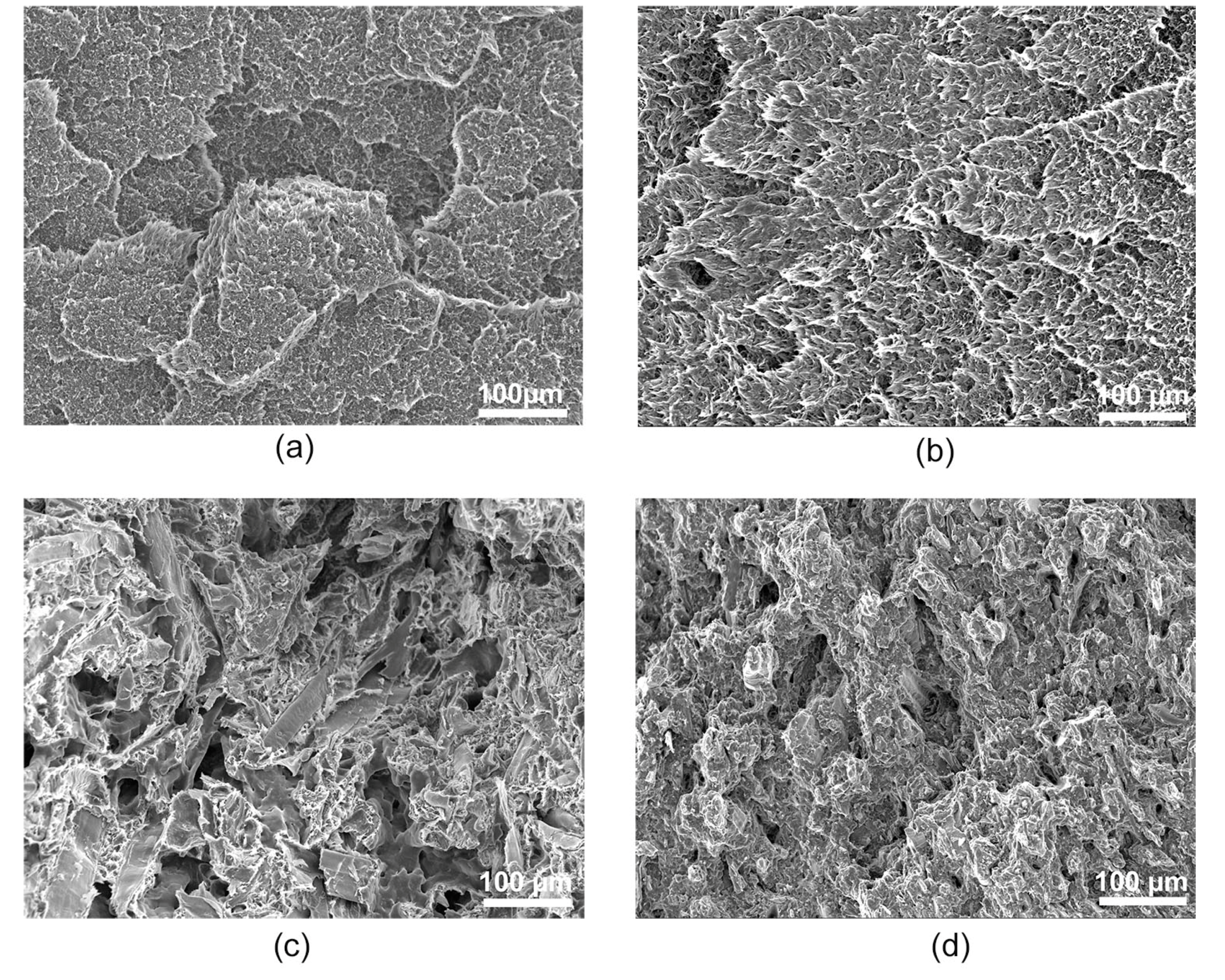 Polymers 12 01750 g012