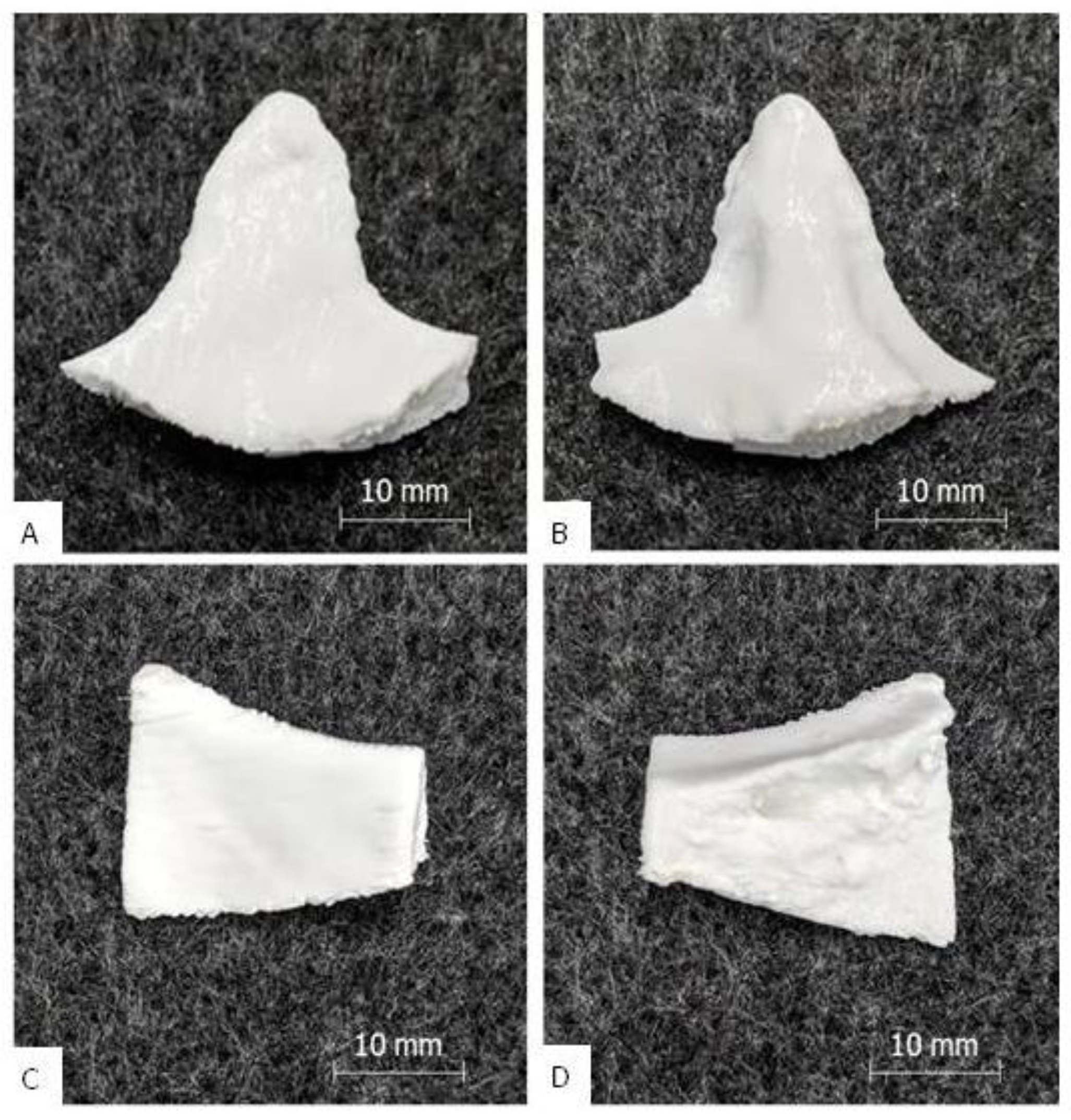 Polymers 12 01751 g004