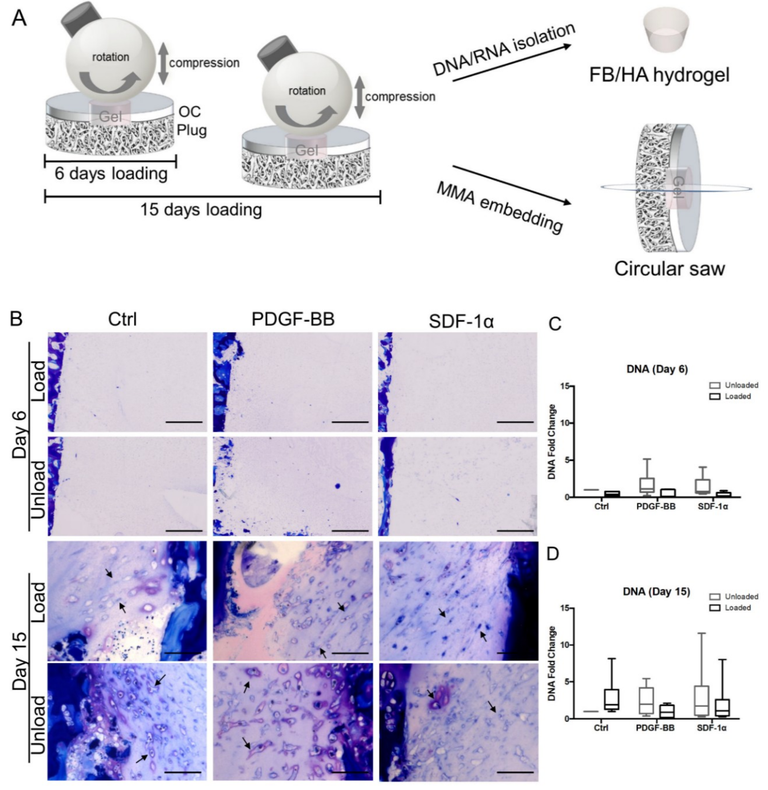 Polymers 12 01754 g001 Polymers 12 01754 g001