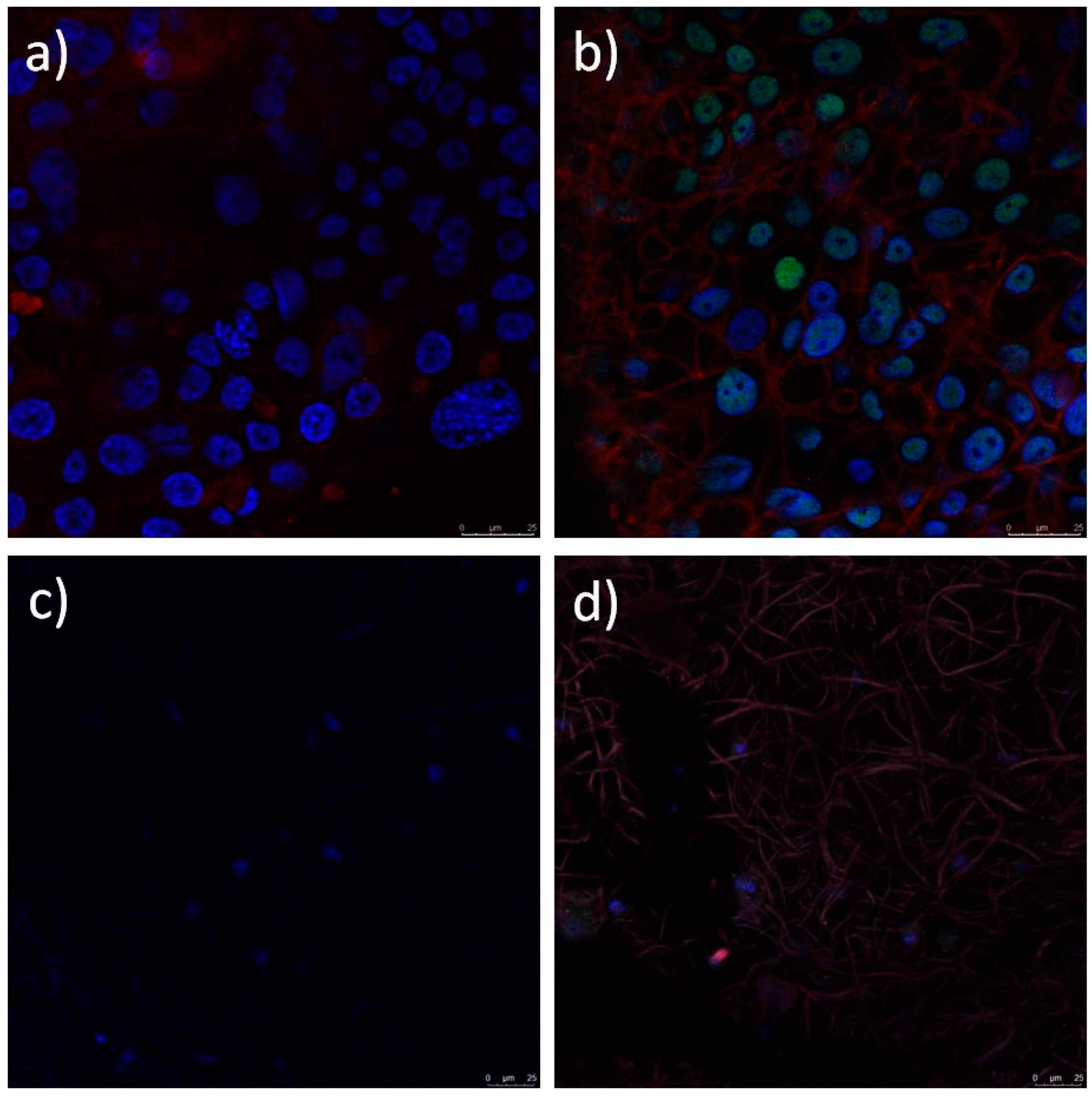 Polymers 12 01758 g017