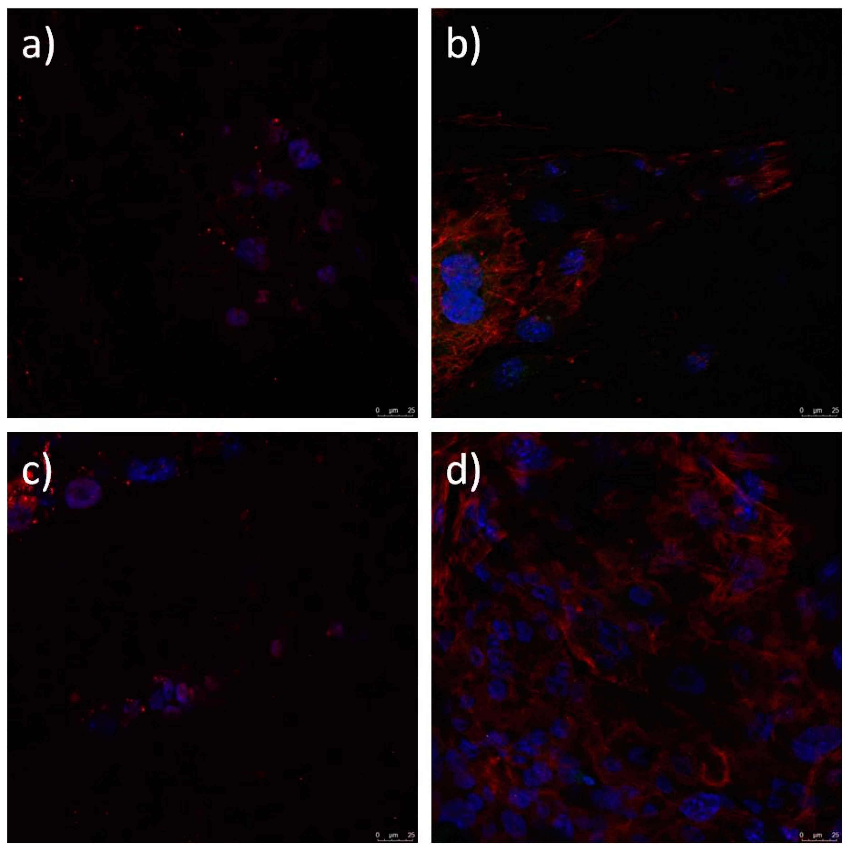 Polymers 12 01758 g018