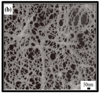 Polymers 12 01759 i002 Polymers 12 01759 i002