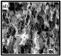 Polymers 12 01759 i004 Polymers 12 01759 i004