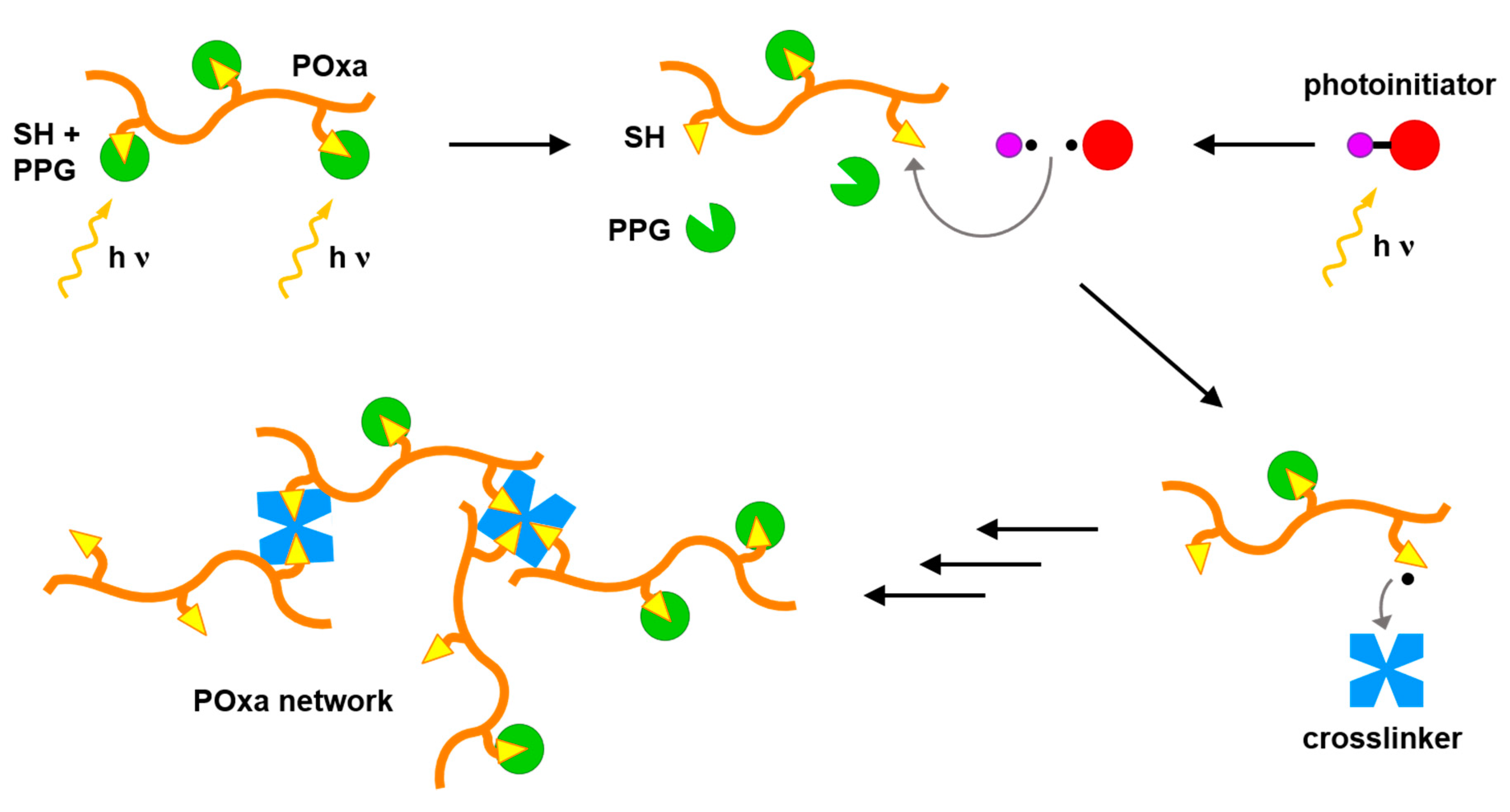 Polymers 12 01767 g001