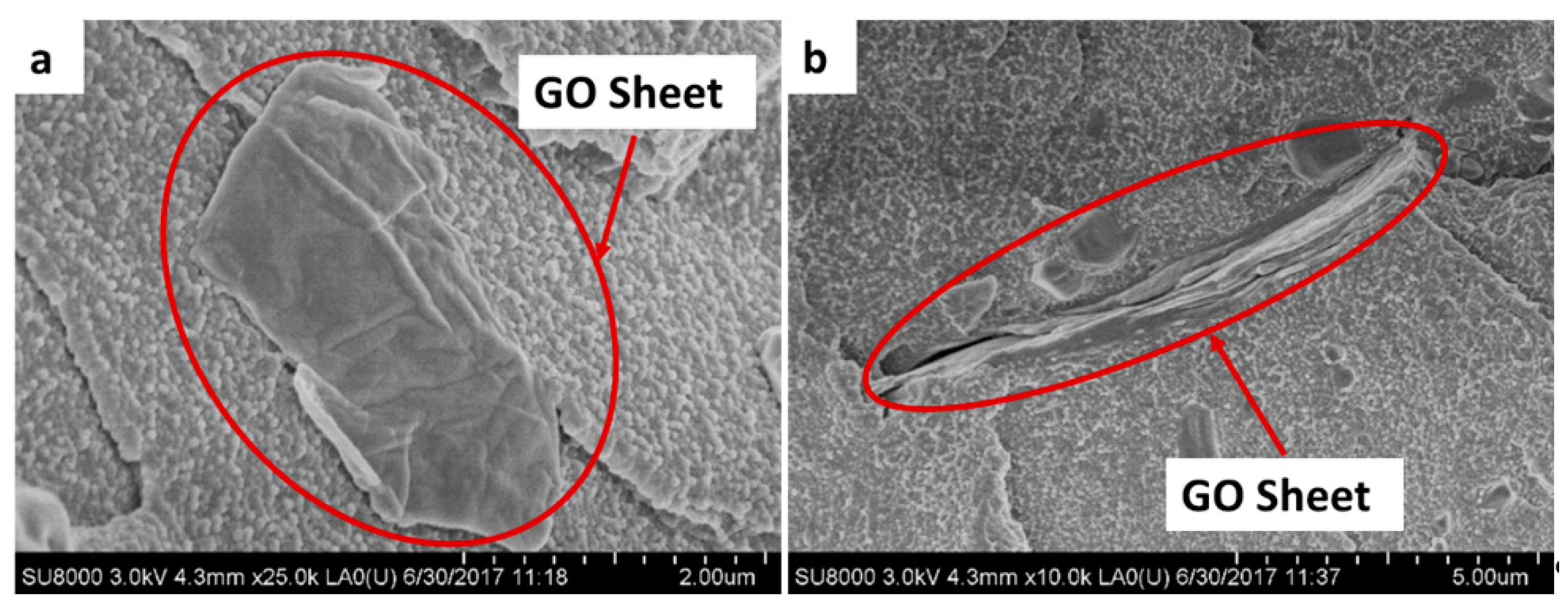 Polymers 12 01773 g006
