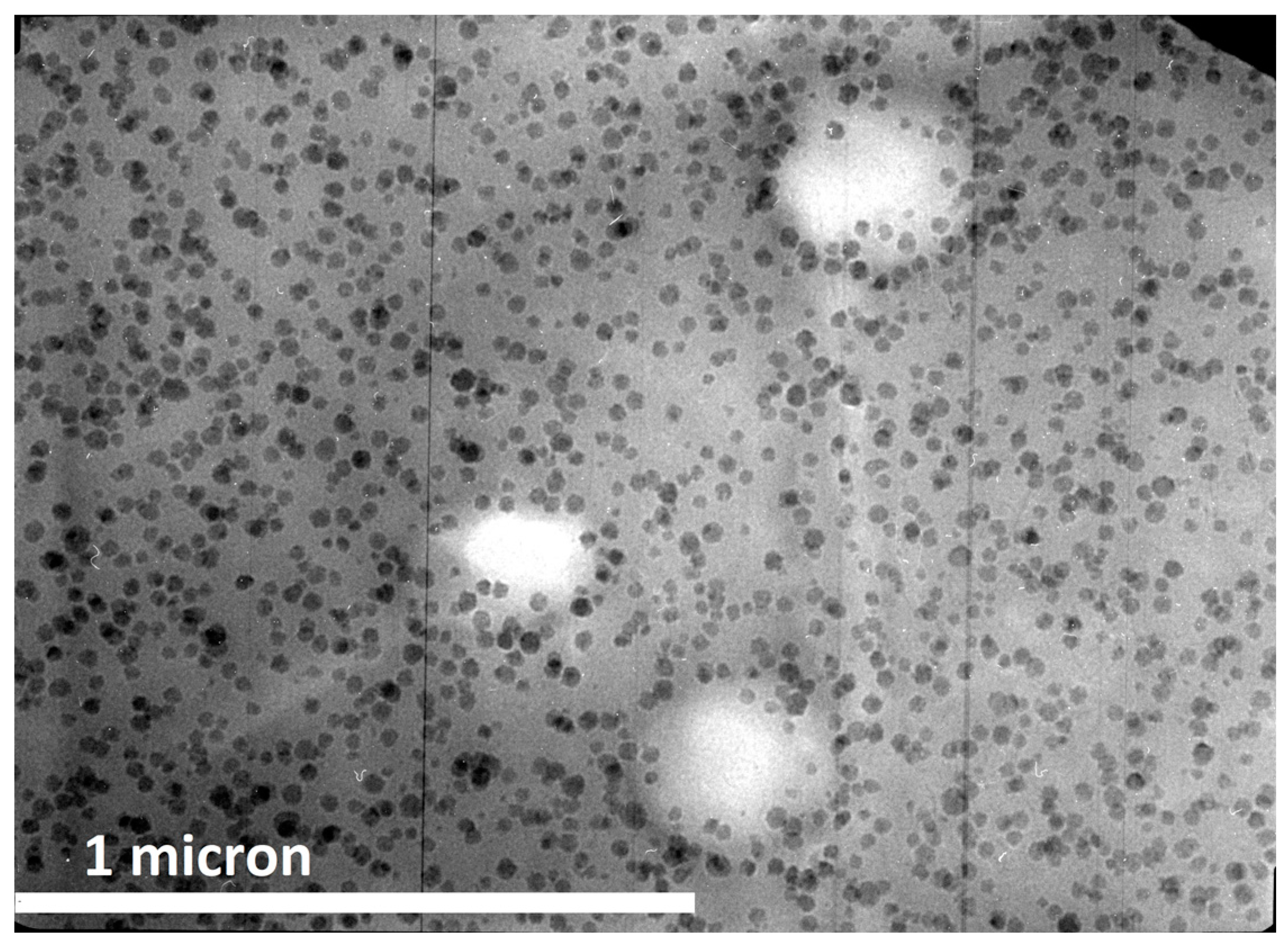 Polymers 12 01777 g009