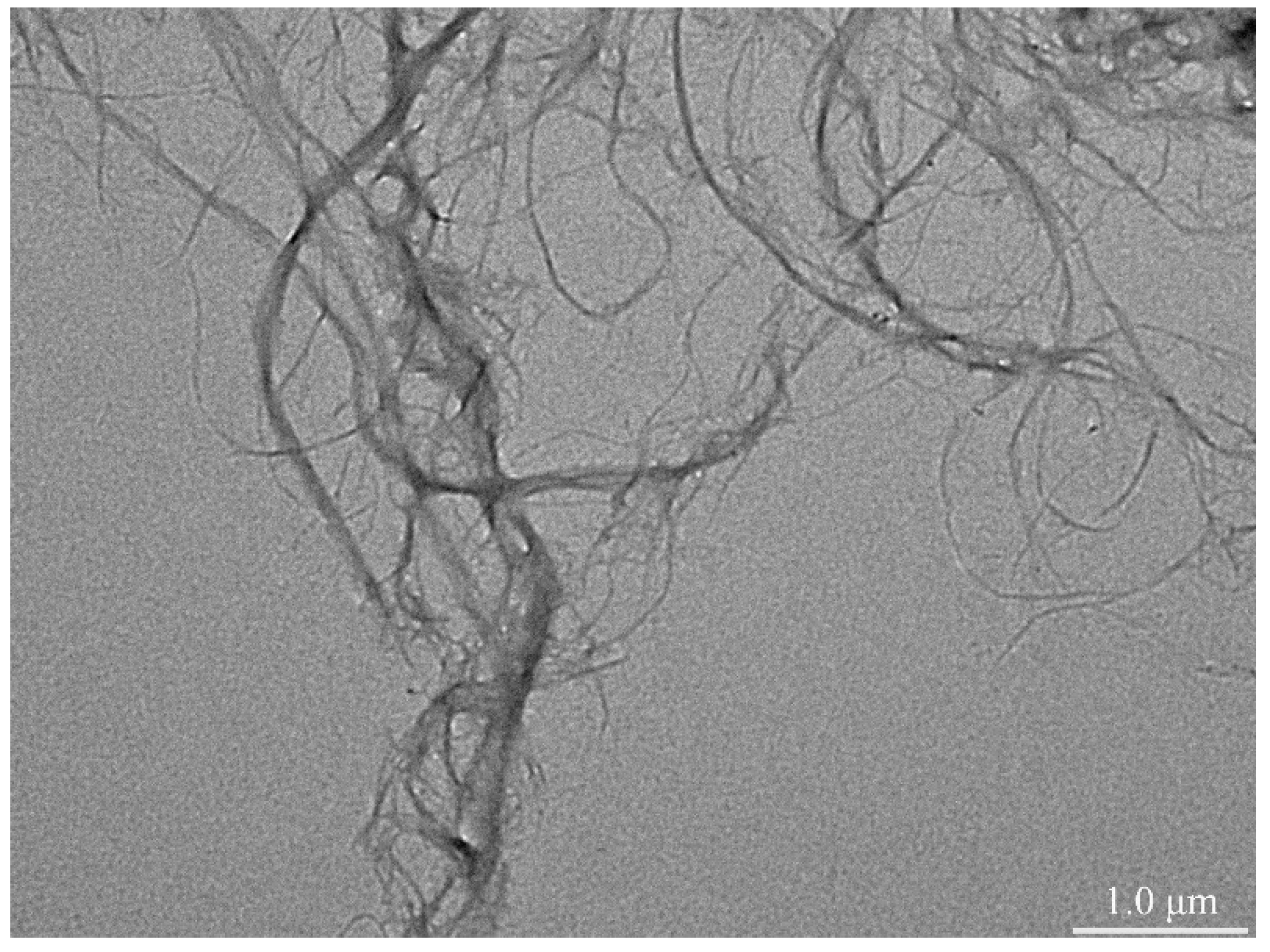 Polymers 12 01780 g001 Polymers 12 01780 g001