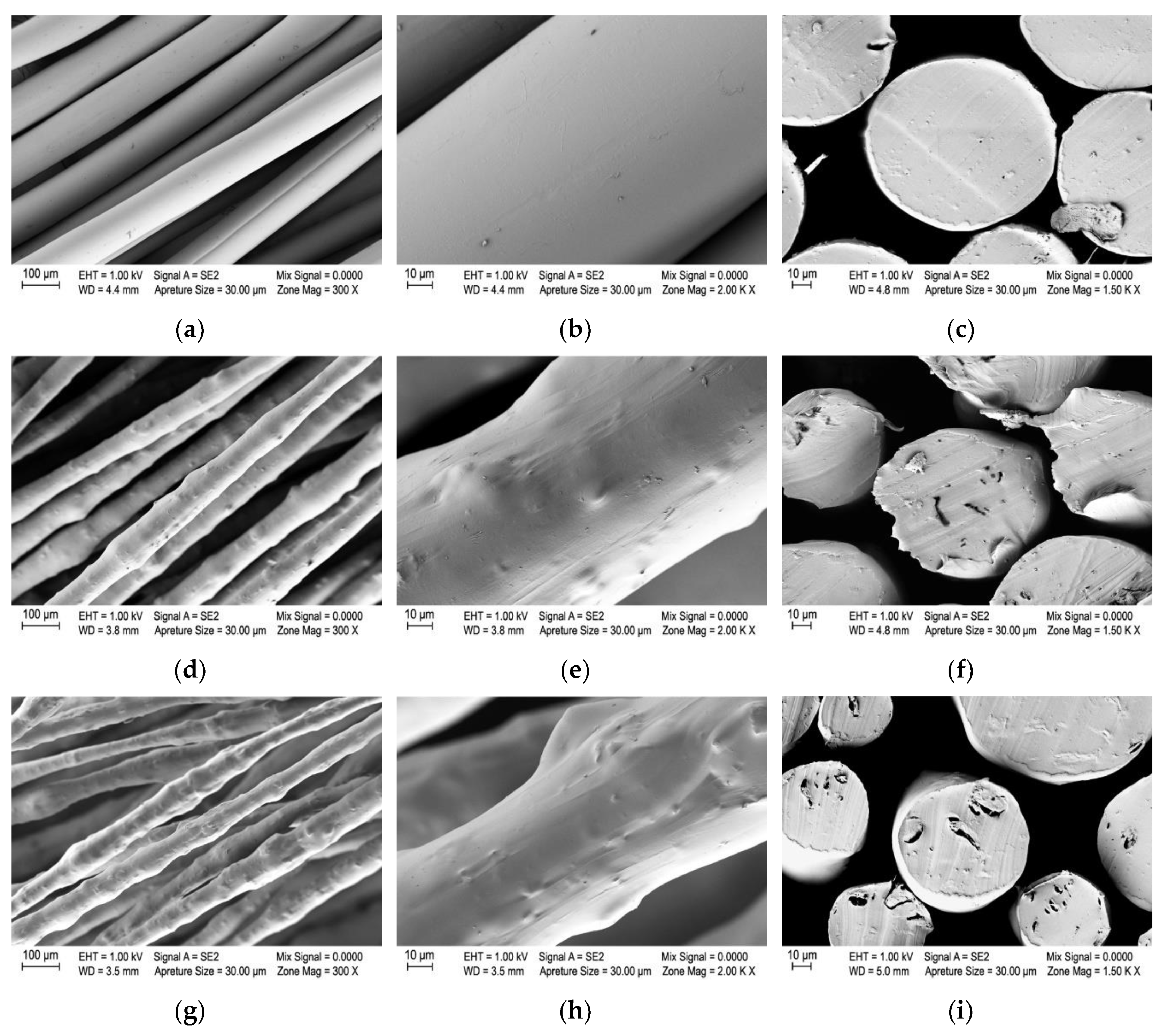 Polymers 12 01787 g005 Polymers 12 01787 g005