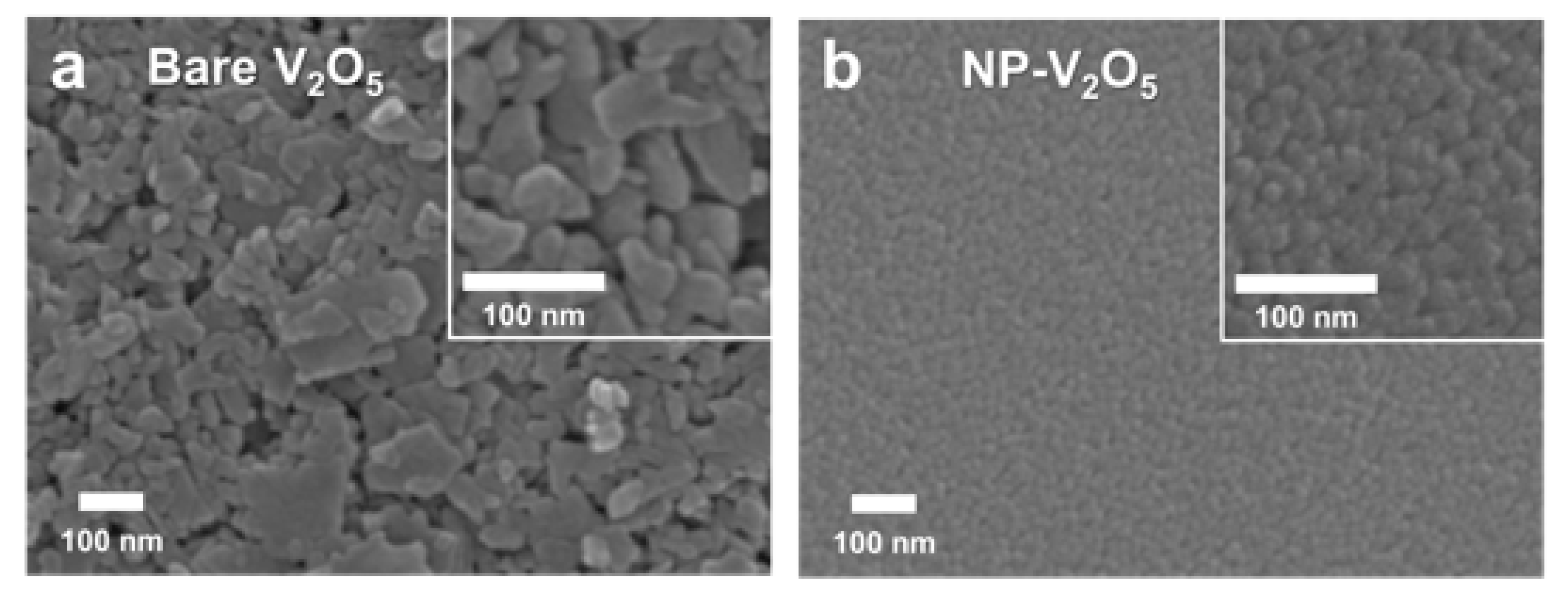 Polymers 12 01791 g001