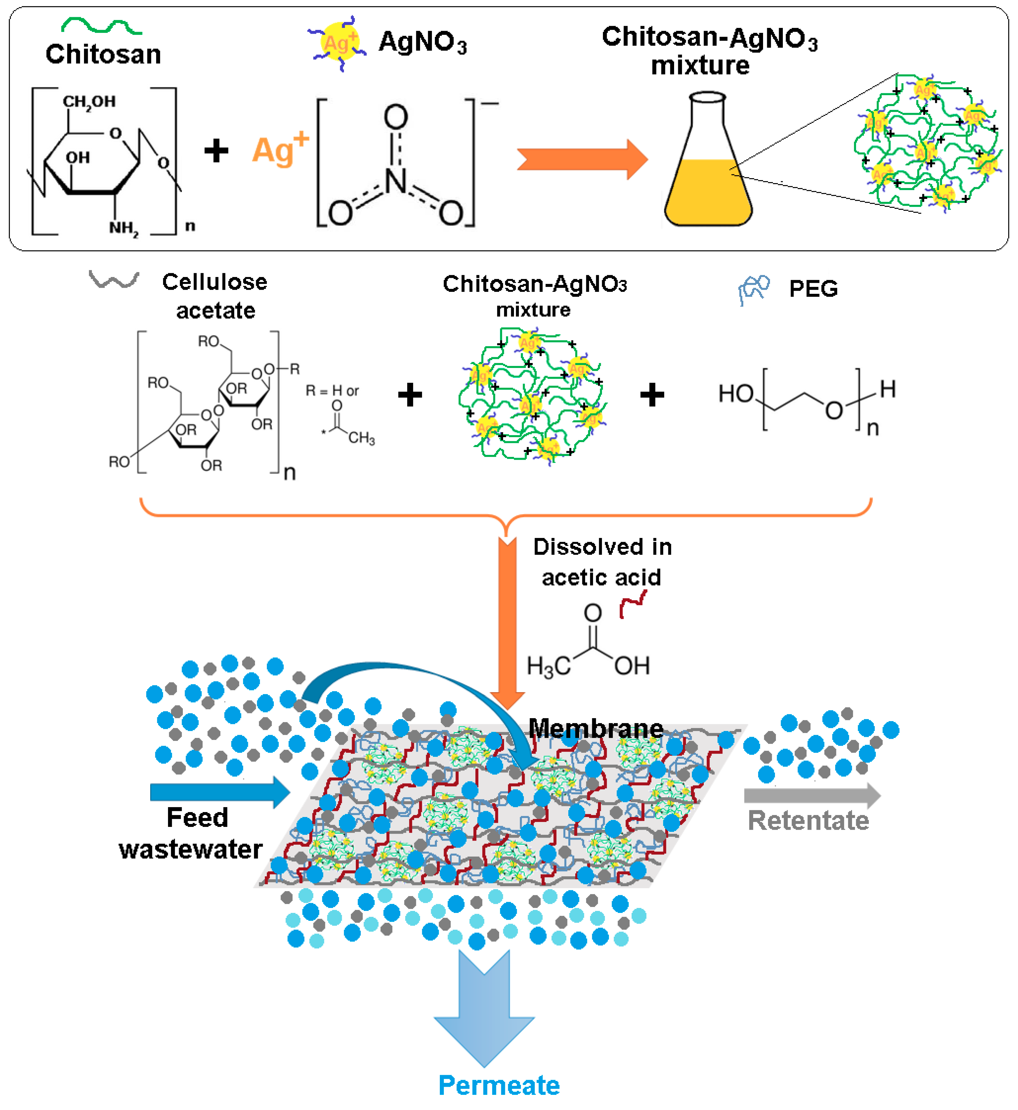 Polymers 12 01792 g001