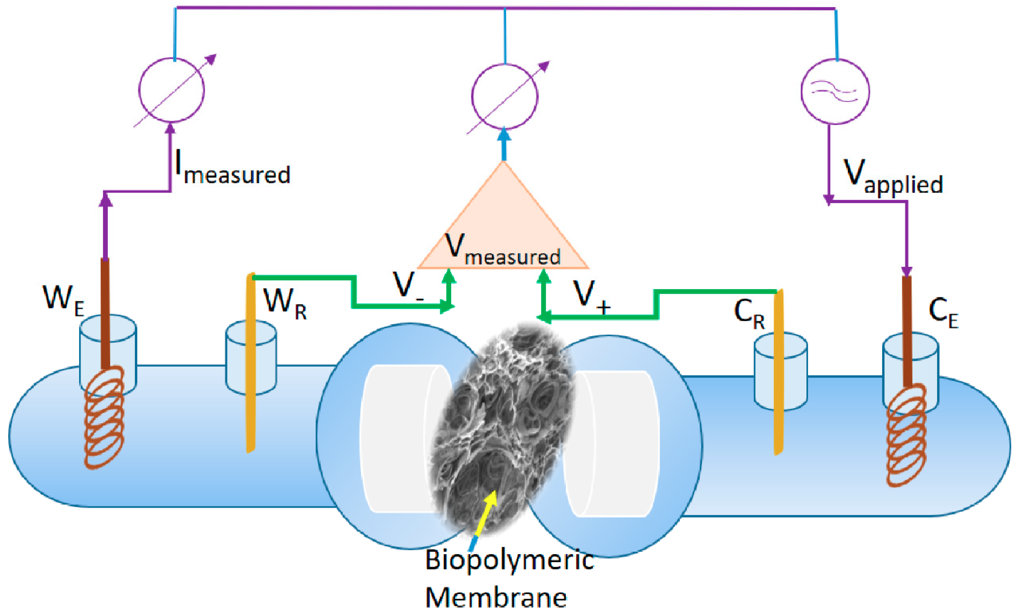Polymers 12 01792 g002