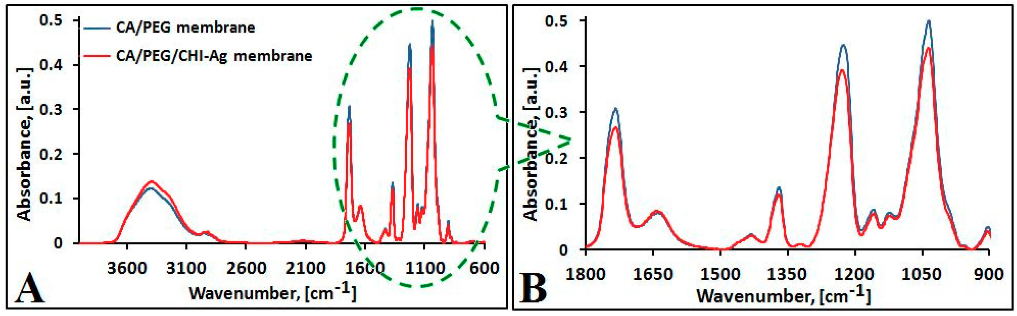 Polymers 12 01792 g004
