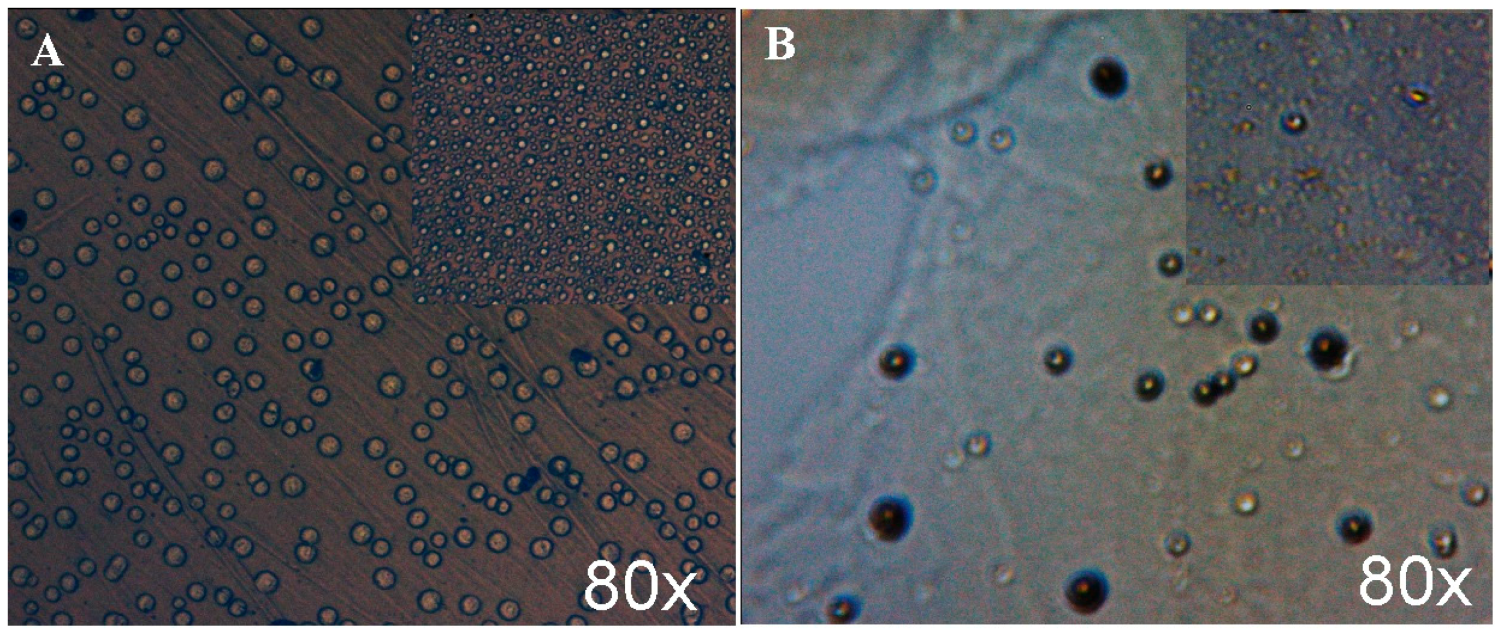 Polymers 12 01792 g006