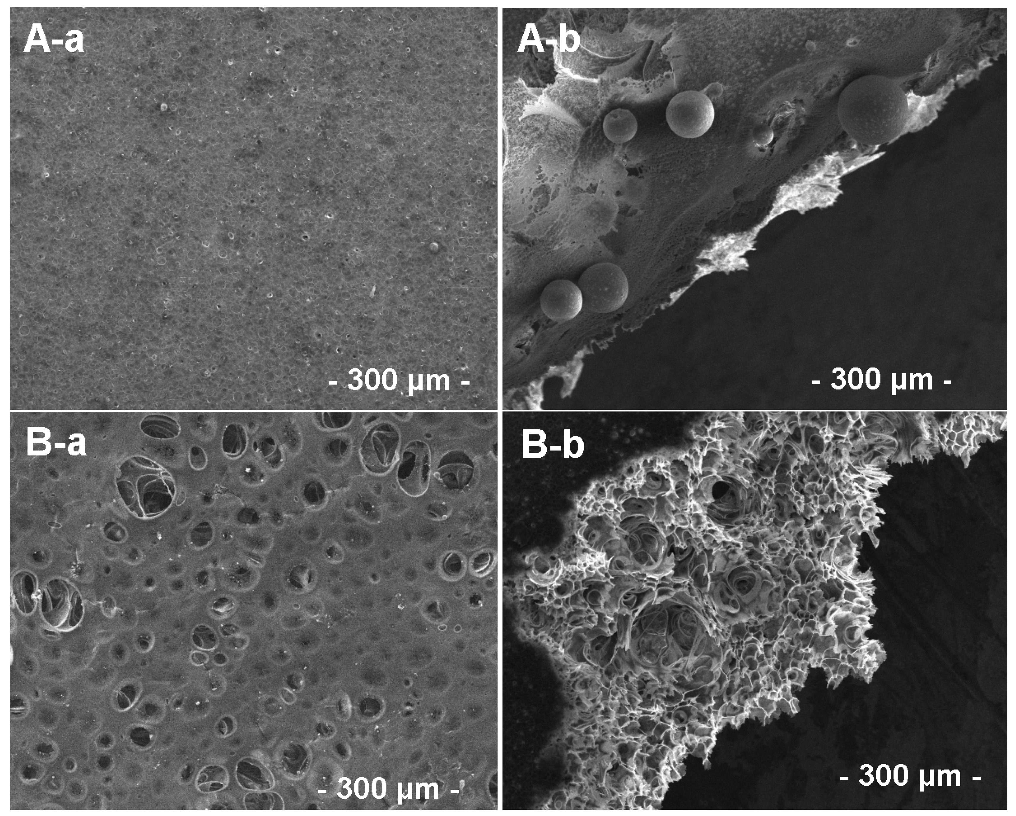 Polymers 12 01792 g007