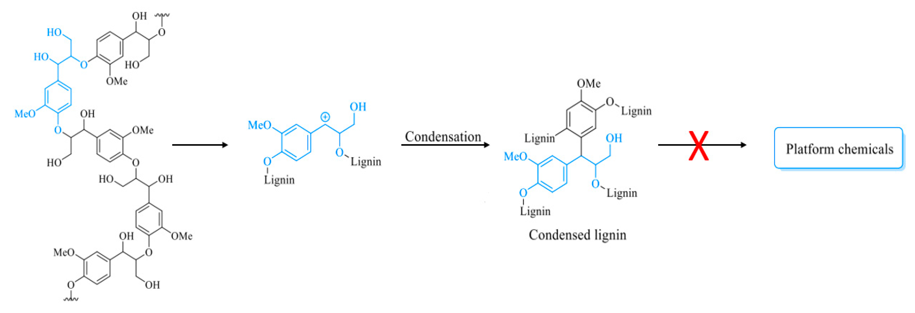 Polymers 12 01795 g005