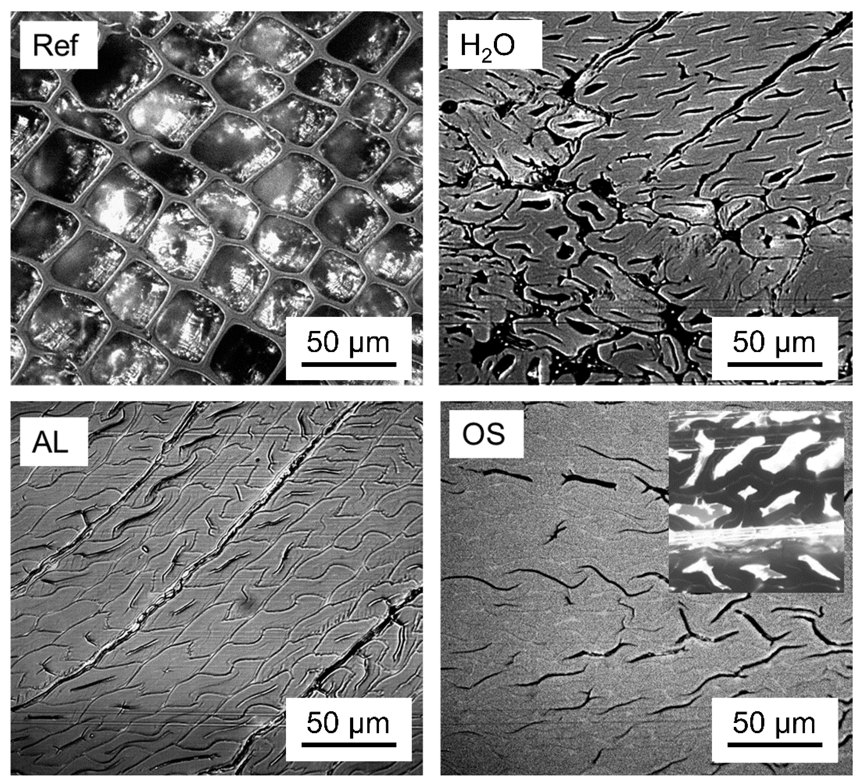 Polymers 12 01796 g001 Polymers 12 01796 g001