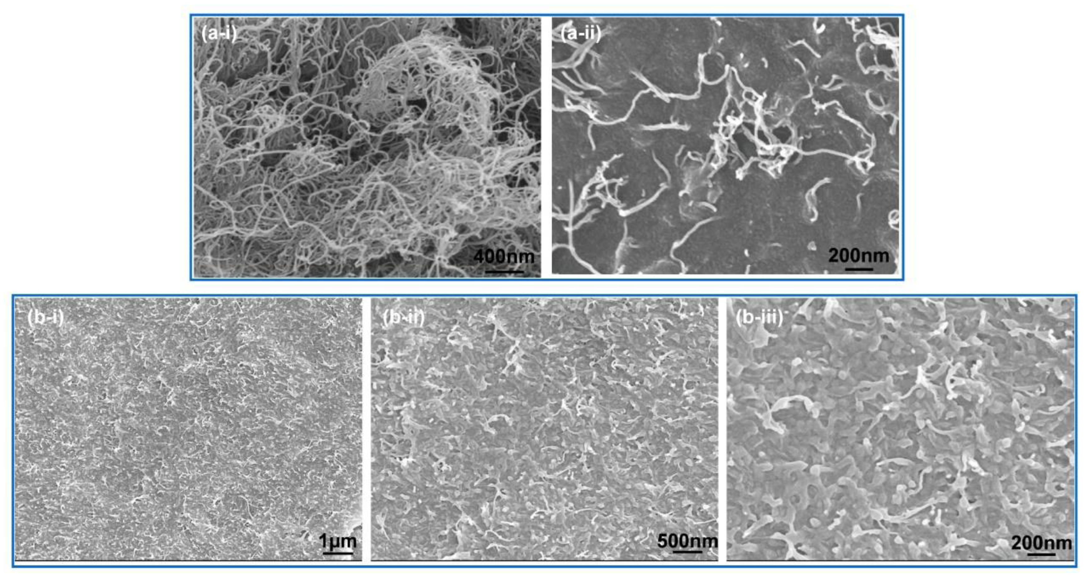 Polymers 12 01797 g003