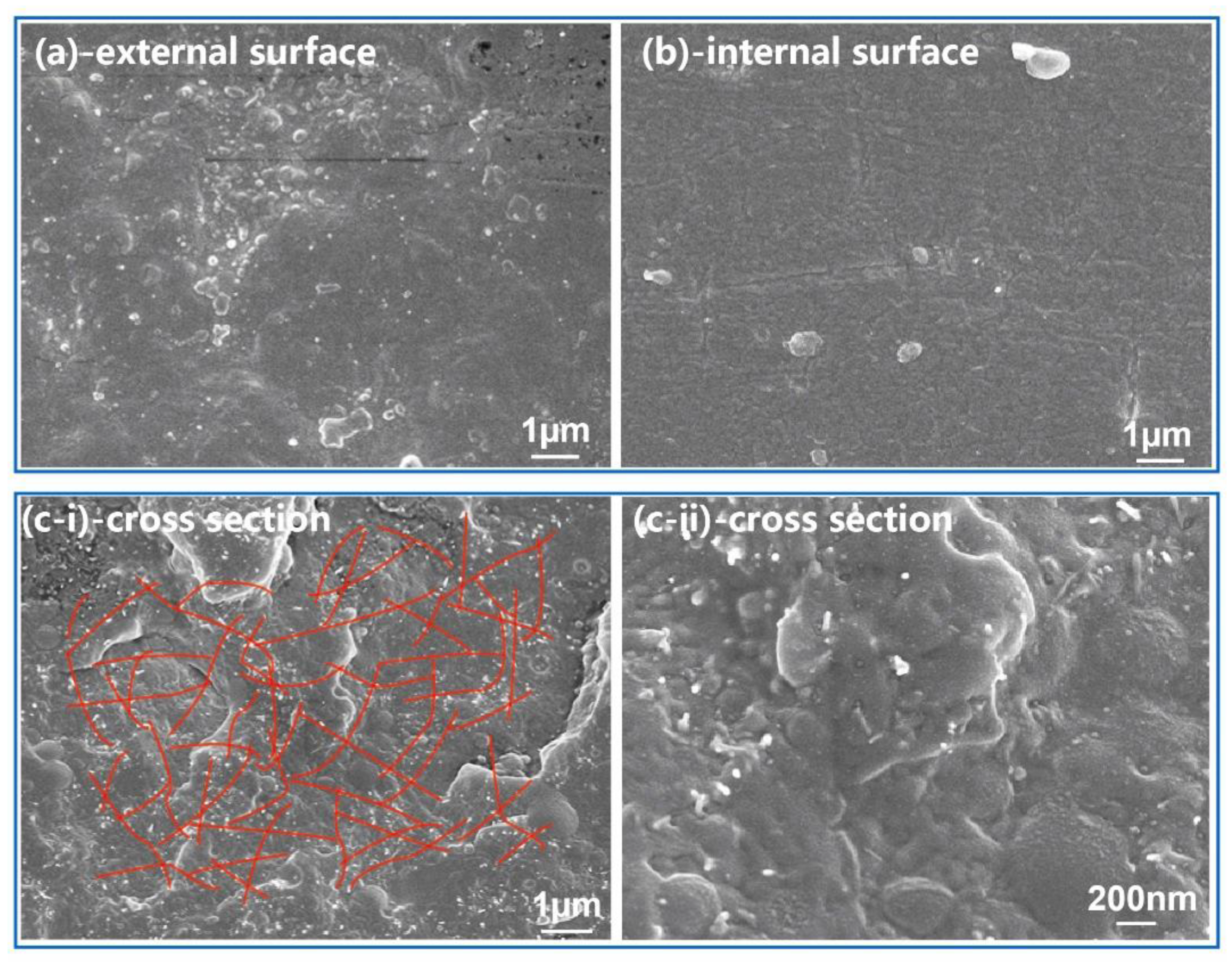 Polymers 12 01797 g005