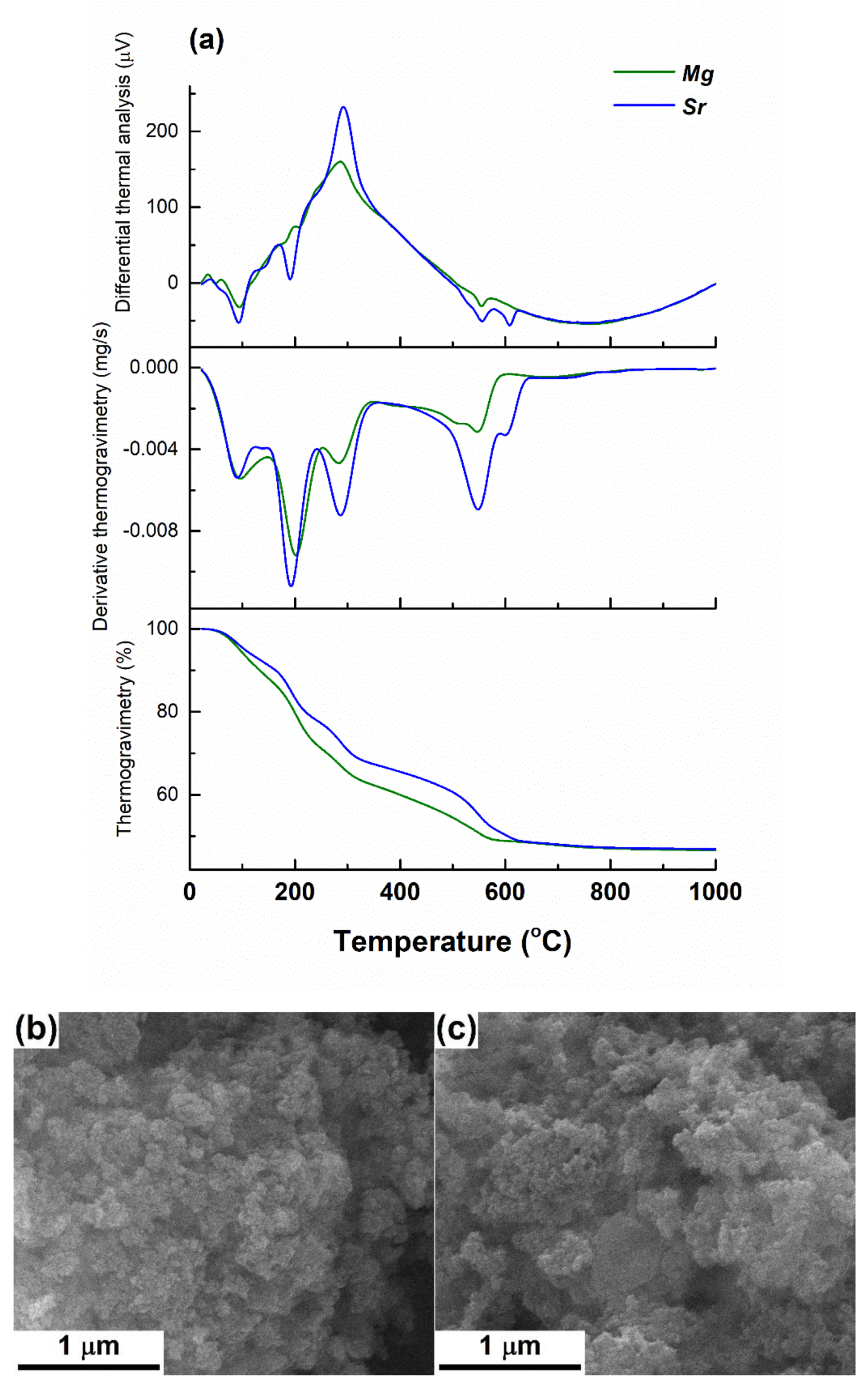 Polymers 12 01806 g001a Polymers 12 01806 g001a
