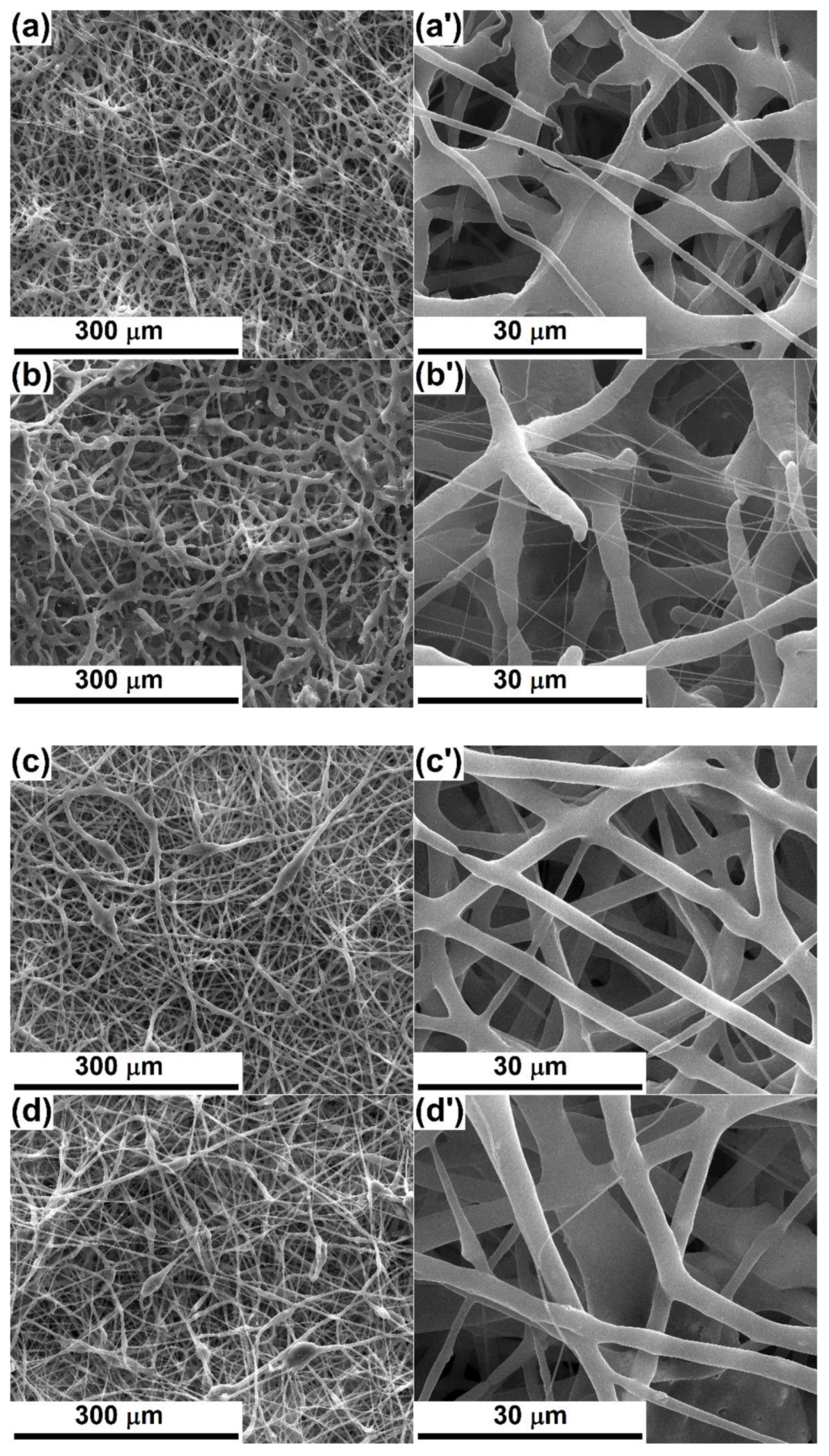 Polymers 12 01806 g002 Polymers 12 01806 g002