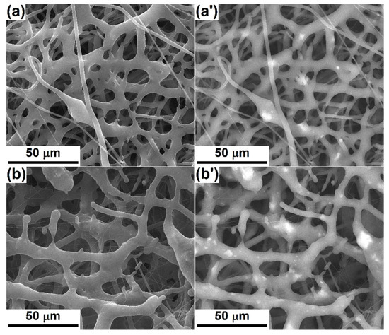 Polymers 12 01806 g003a Polymers 12 01806 g003a