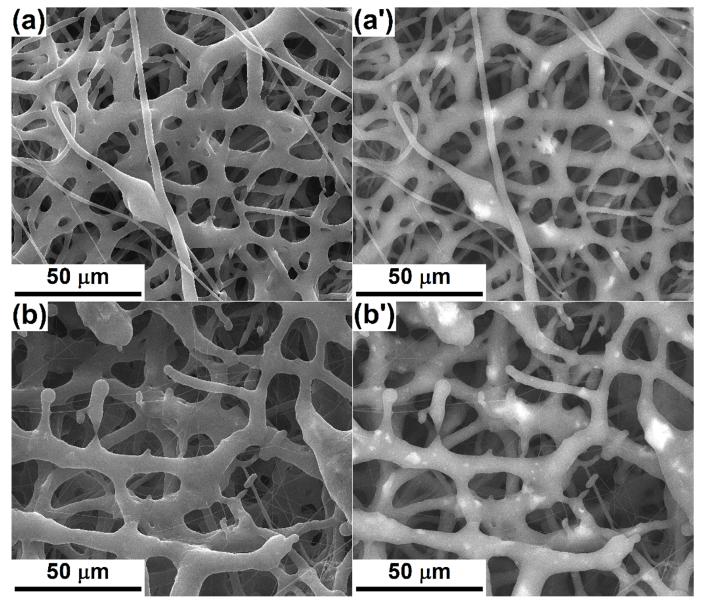 Polymers 12 01806 g003a Polymers 12 01806 g003a